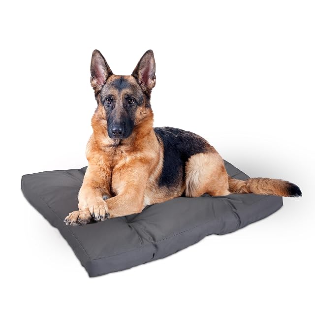 Relaxdays Cama para Perros Grandes, Impermeable, Colchón Mascota, Cojín Blando, Lavable, 110 x 90 cm, Gris