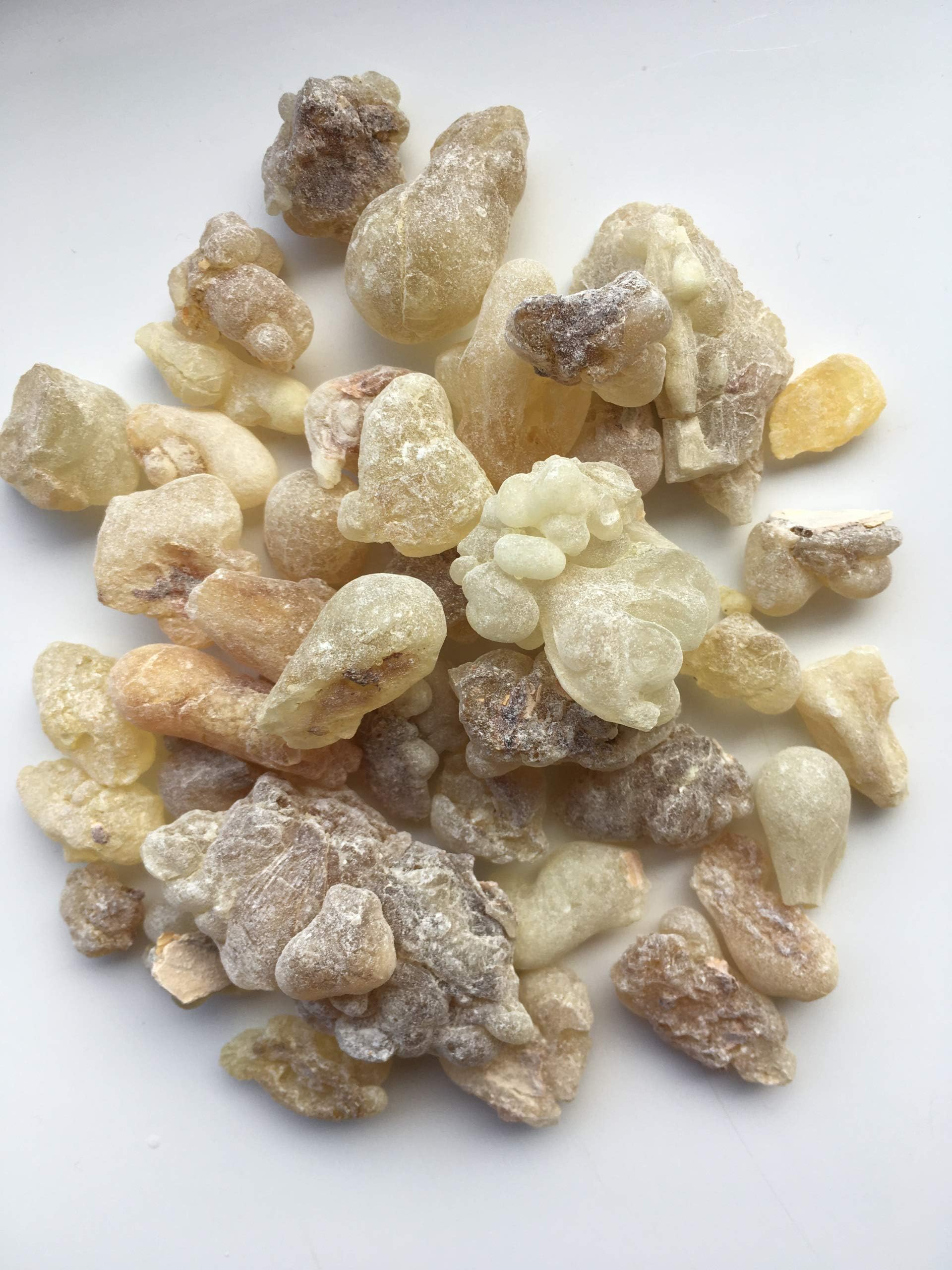 Light Colour Boswellia Sacra Frankincense Resins Large Tears from Oman (10g)