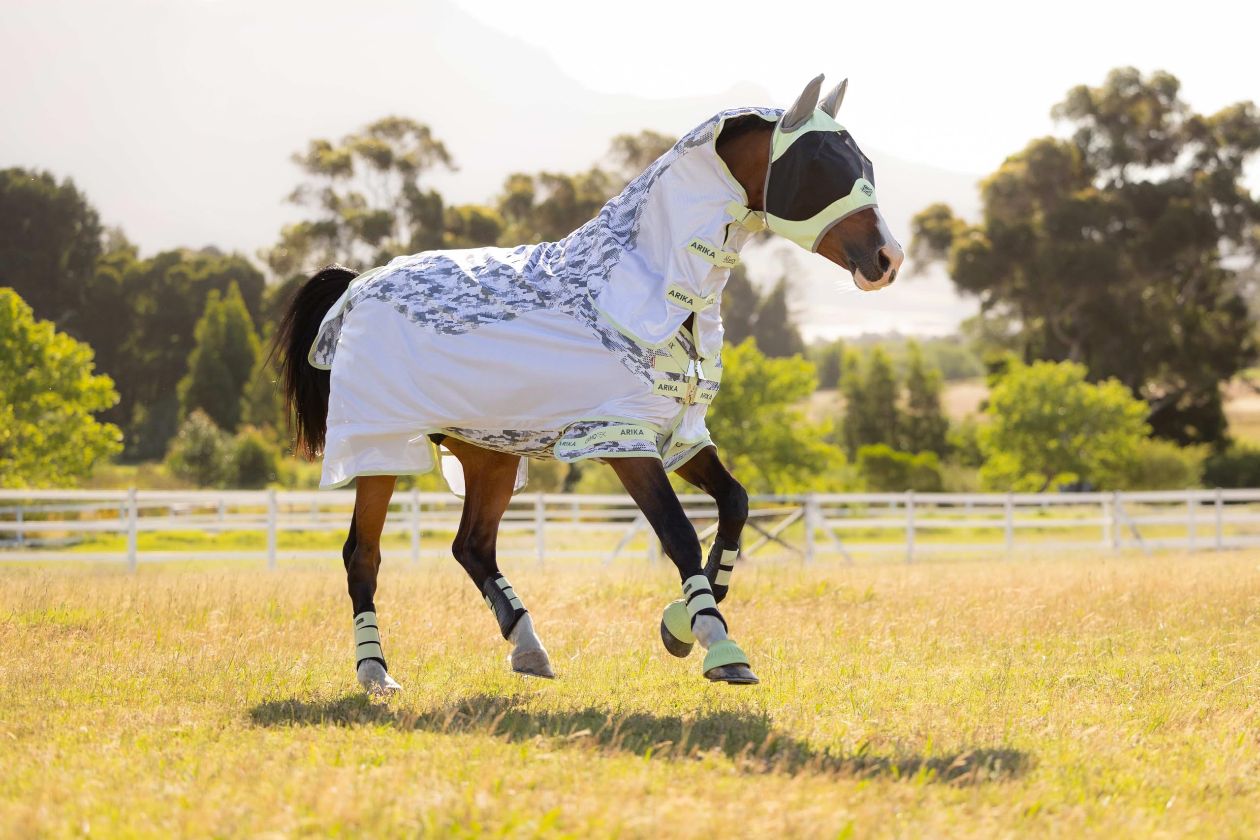 LeMieux Arika Camo-Tek Fly Rug - Alfombra de caballo ecuestre con moscas - Macaron - 6 pies 6 pulgadas