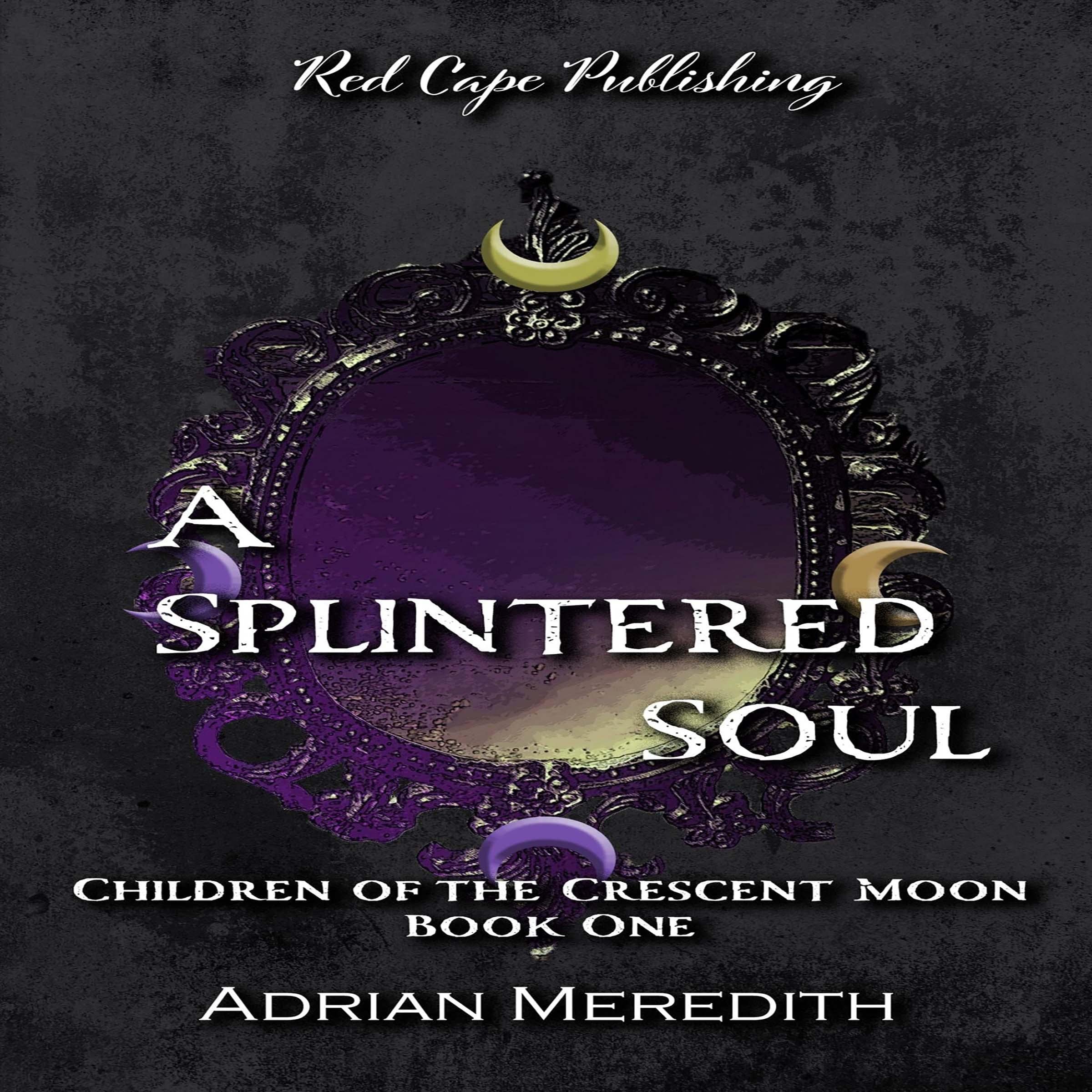 Cover art for A Splintered Soul