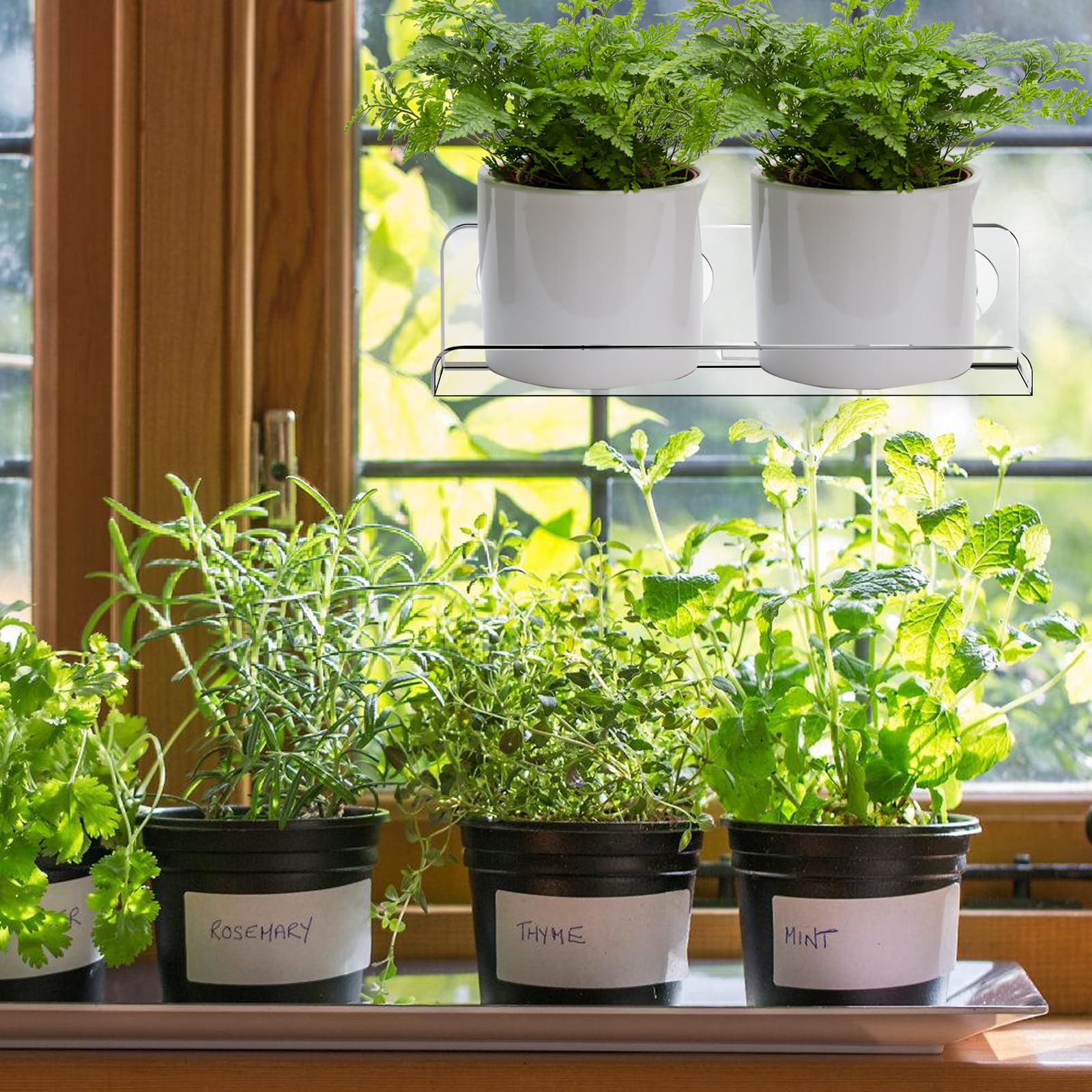 Estantería de acrílico para plantas, 2 unidades, transparente, ventosa, estantería para plantas, estantería para plantas, estantería colgante de 30 cm, para el alféizar de la ventana para