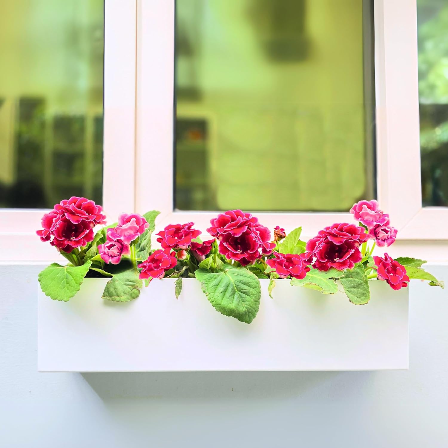 LaLaGreen Wall Planter (24 Inch, 1 Pack) Carbon Steel White Metal Hanging Flower Pot for Succulents, Wall Mount Rectangular Window Sill Box Fence Floating Garden Shelf for Deck Indoor Outdoor Decor