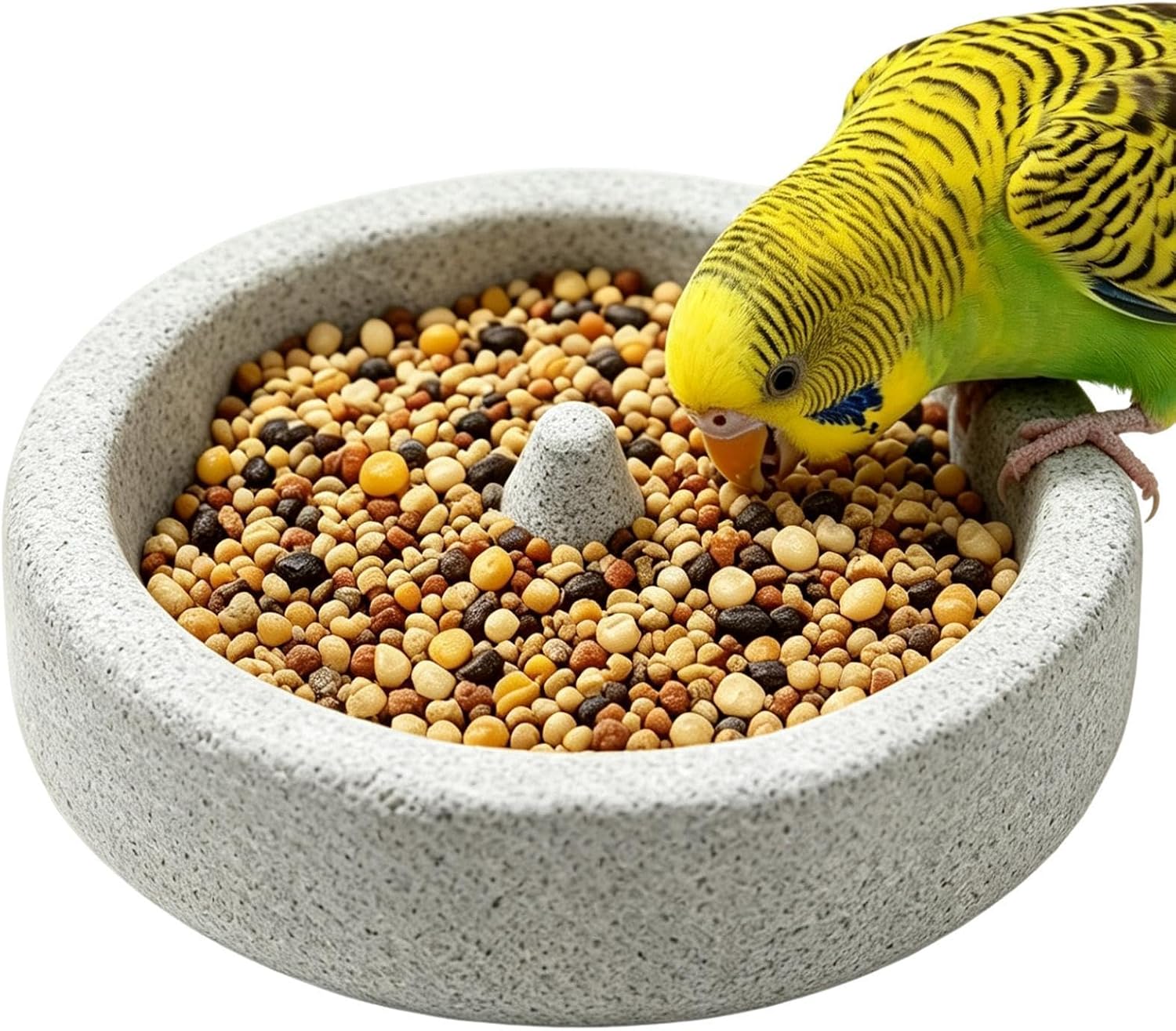 Bird Food Bowl Natural Pumice Stone Portable Stable Bath Dish