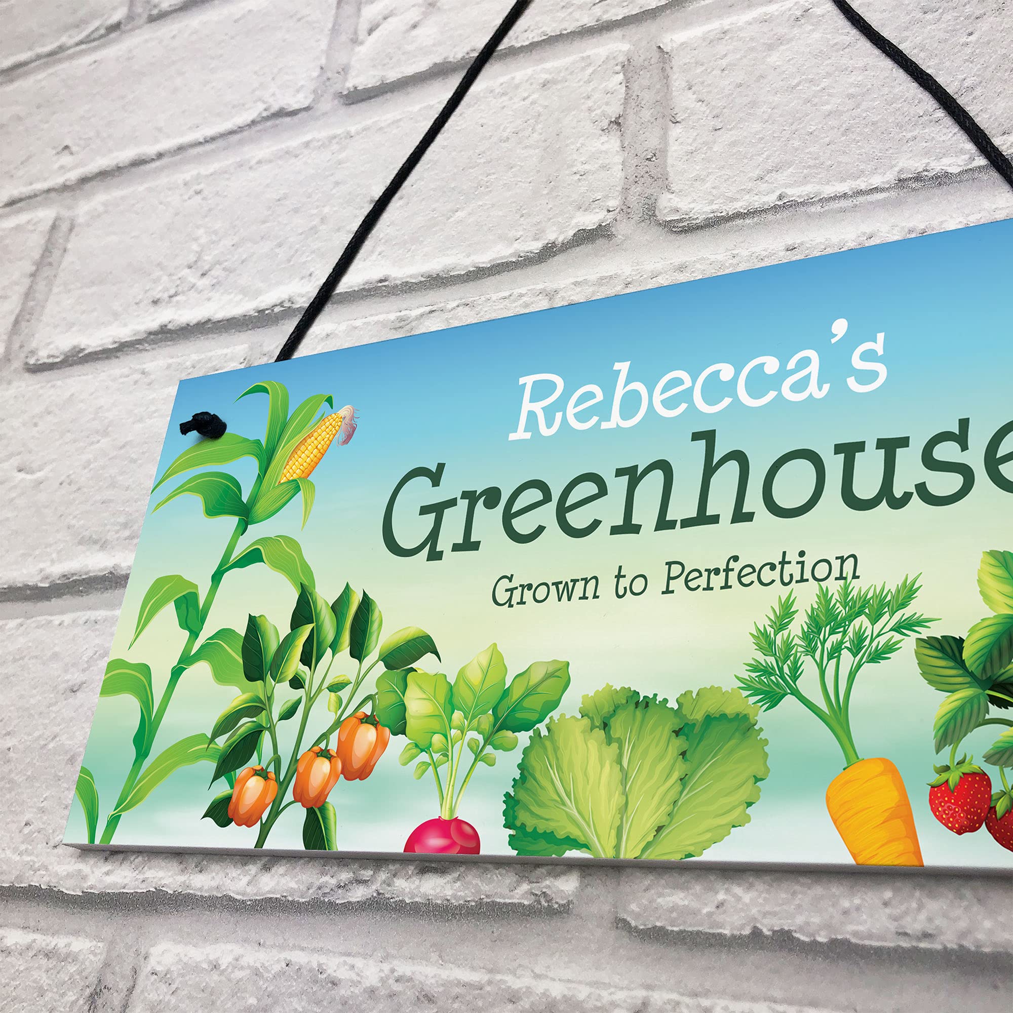 PERSONALISED Shed Sign Gift For Men Garden Shed Greenhouse Sign