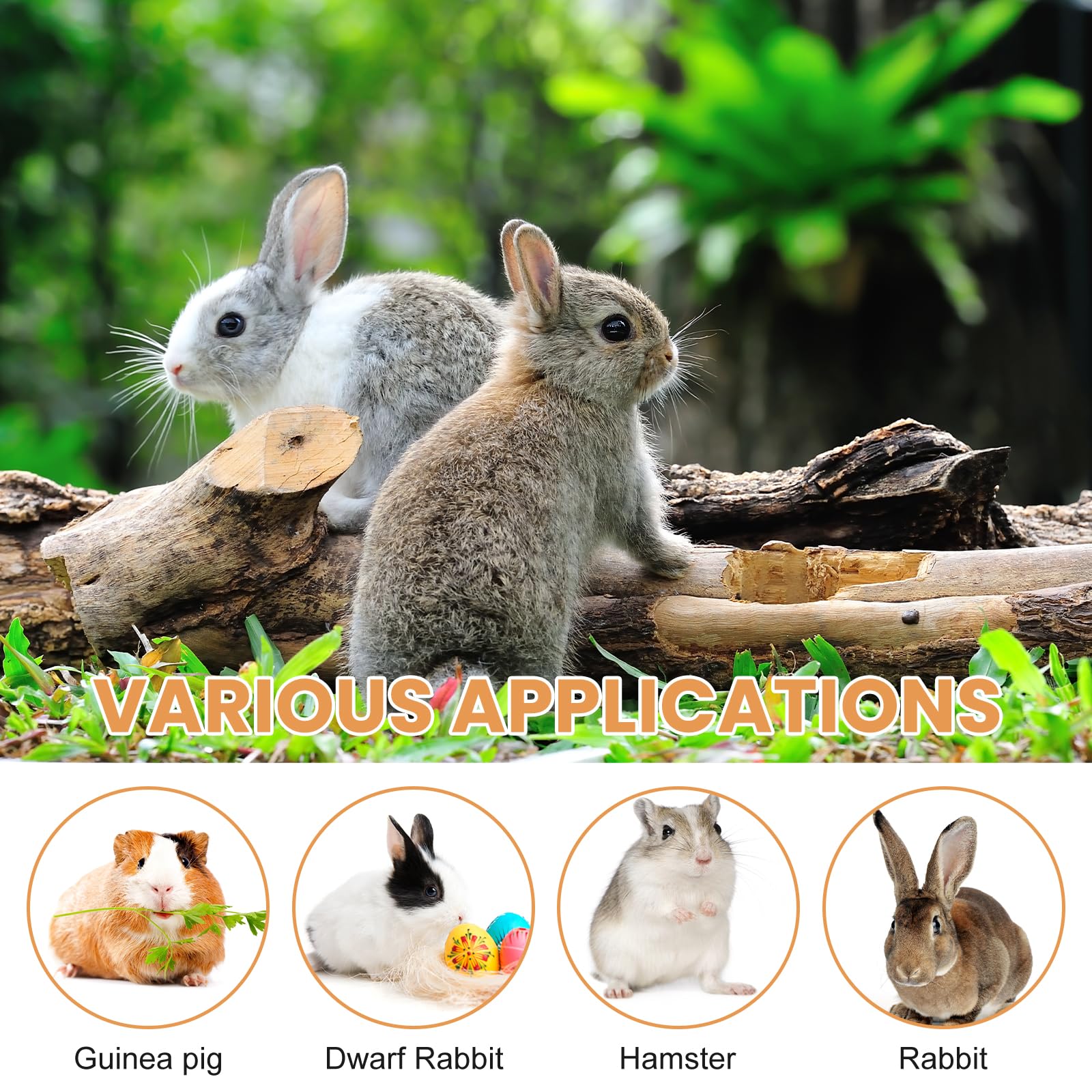 Heuraufe Kaninchen Mit Höhenverstellbarer Trinkflasche, Futterspender Heu Kaninchen, Meerschweinchen Heuraufe, Naturholz, Für Kaninchens Hamster Chinchillas Meerschweinchen