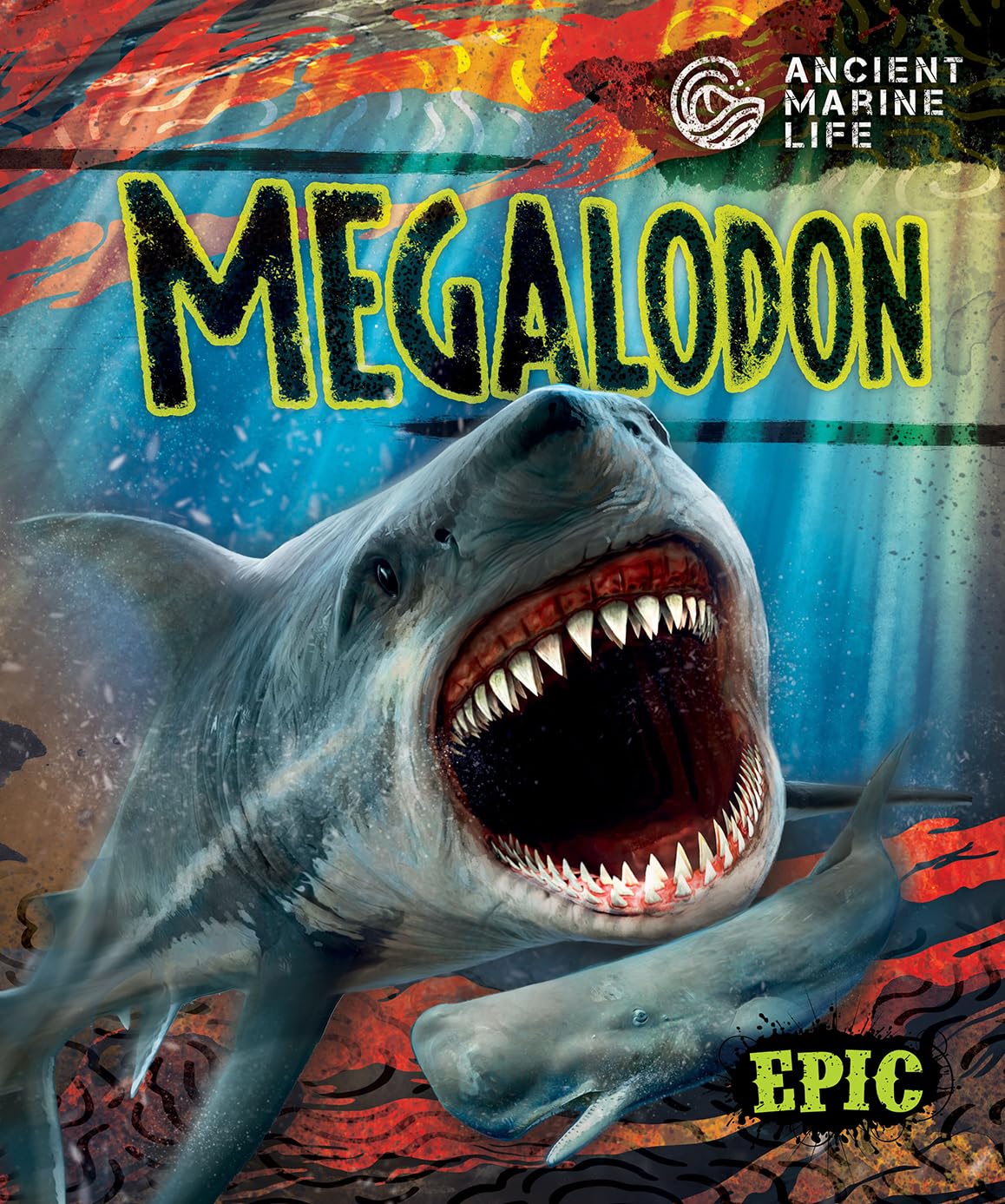 Megalodon (Ancient Marine Life)