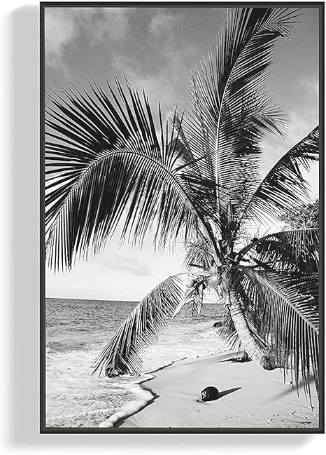 M Media Amazon Com Images I 81esotqx4ql Ac Sx4