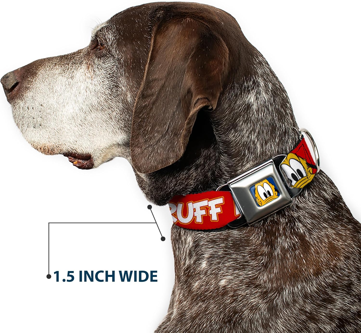 Disney Pet Collar, Dog Collar Metal Seatbelt Buckle, Pluto 2 Pose Its A Ruff Life Red Yellow White, 9.5 to 13 Inches 1.0 Inch Wide