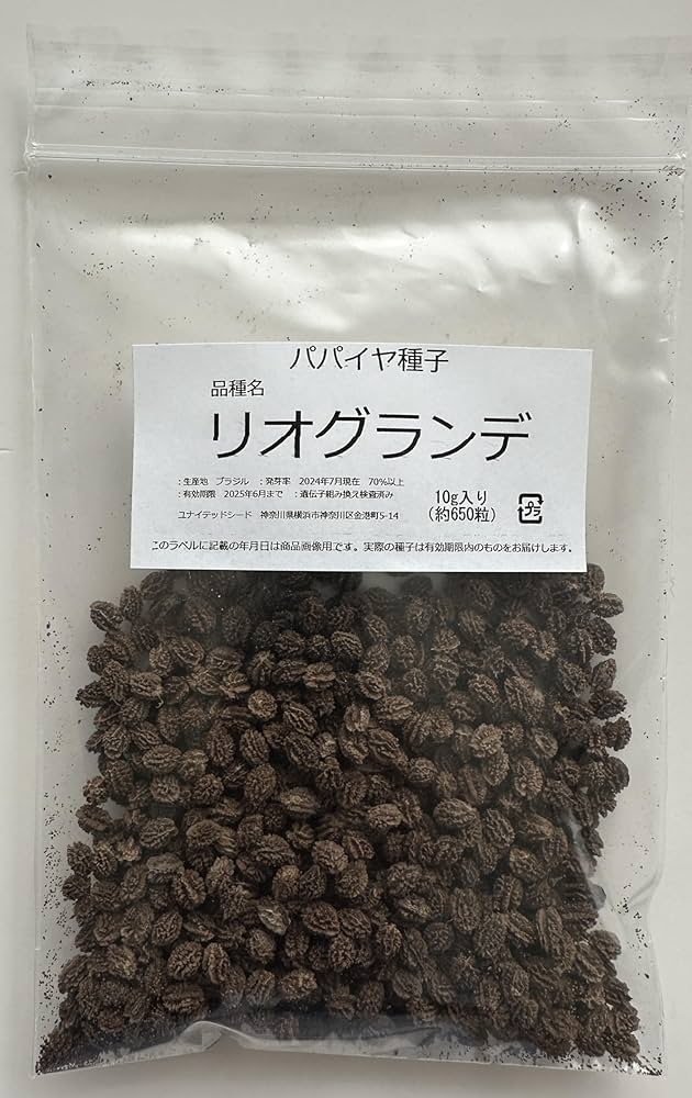 パパイヤ種子（タネ）　品種名　リオグランデ　100g（約6500粒） パパイヤ種子（タネ） 品種名 リオグランデ 100g（約6500粒）