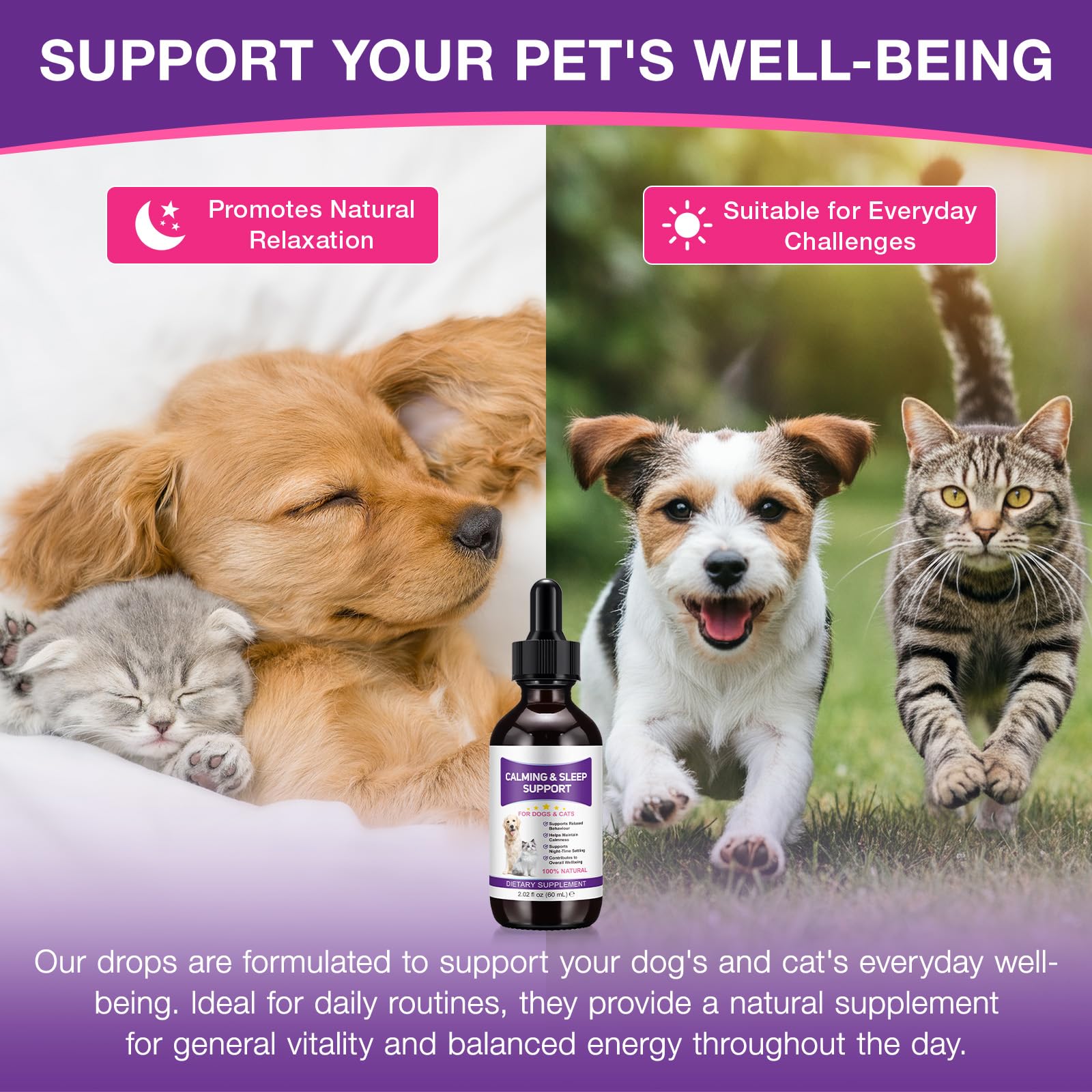 Melatonina para Mascotas, Melatonina para Perros y Gatos, 60 ml*2 Pastillas para Dormir para Perros, Ayuda a aliviar la ansiedad y el estrés, promueve la relajación y el sueño Profundo, Sabor a Pollo