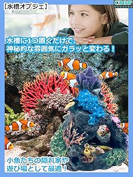 馬　珊瑚礁　オブジェ 81ET0pC-jQL._UF350,350_QL80_.jpg