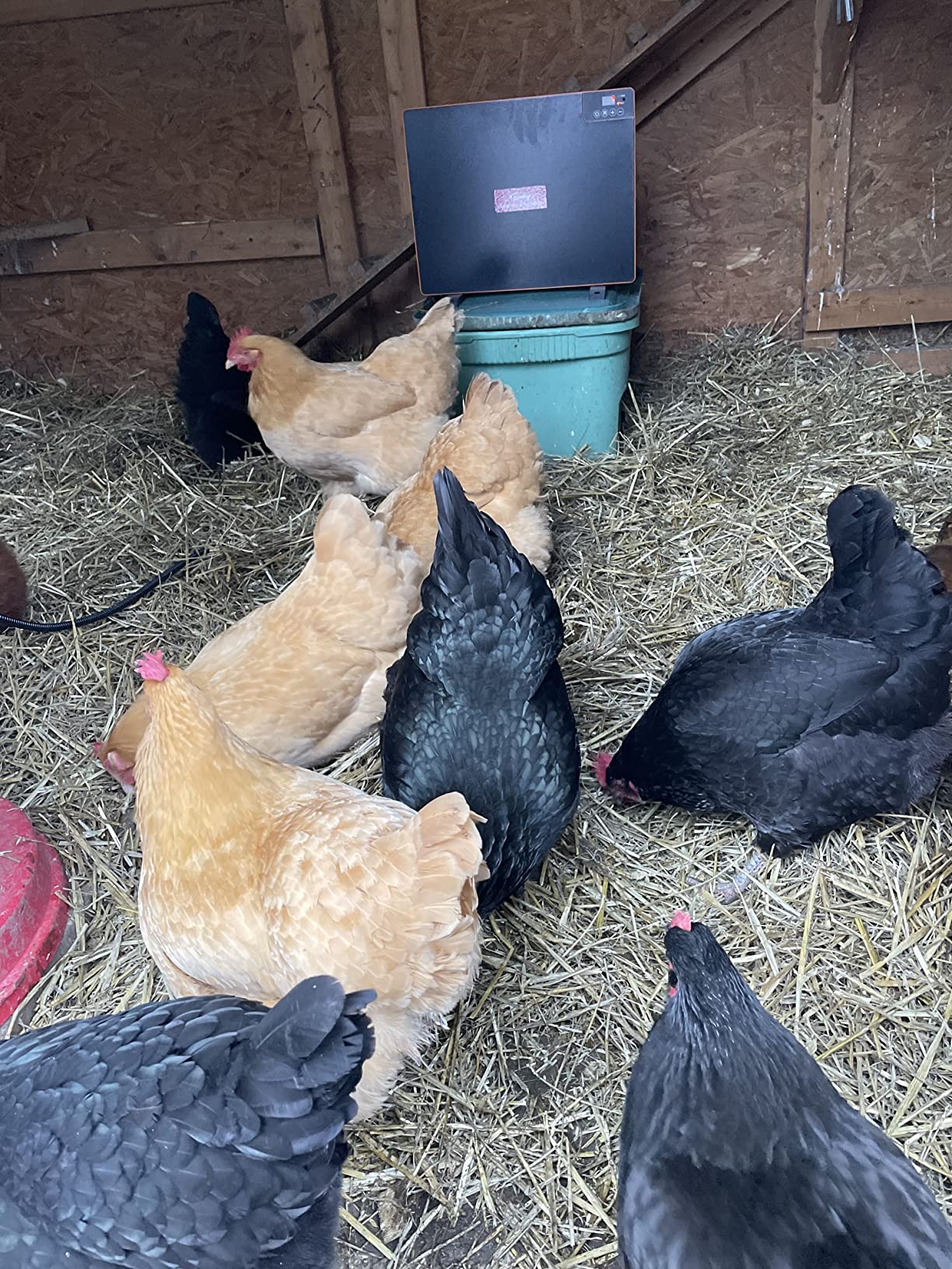 11/mo Finance Toozey Chicken Coop Heater, Radiant Heat Chicken Heater with Adjustable