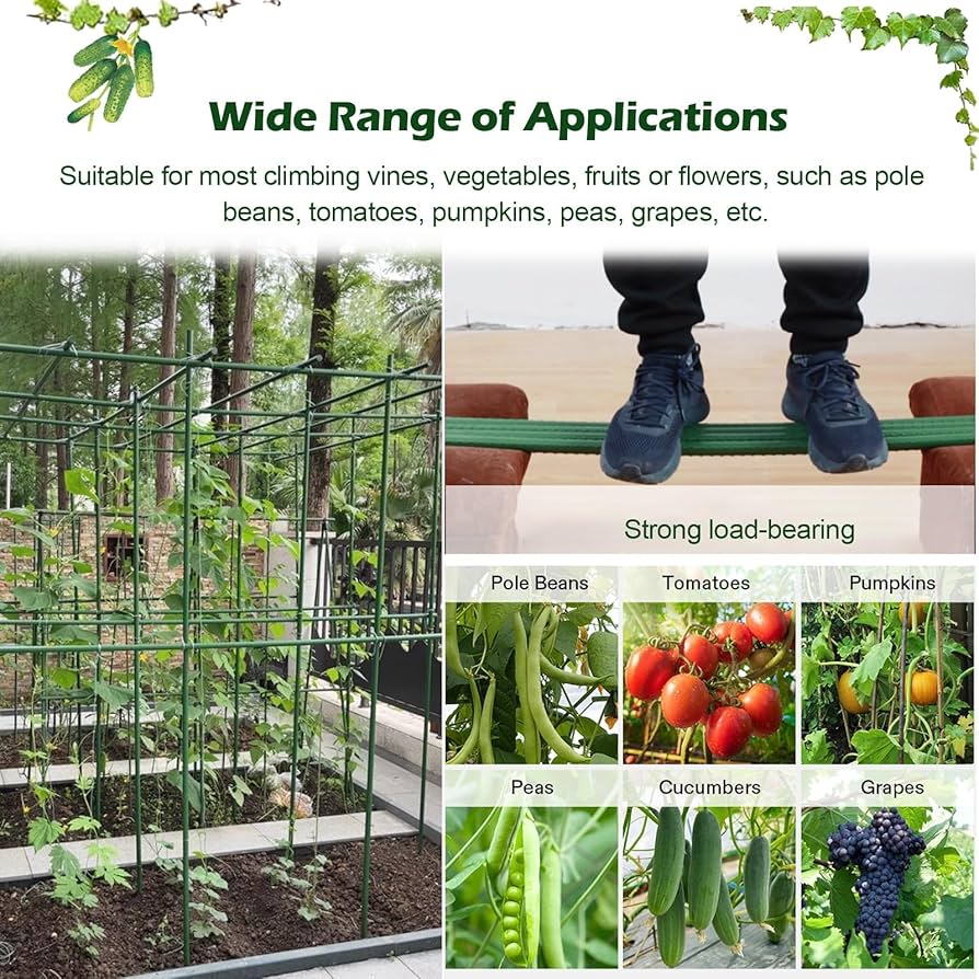 GIRUVI 「Grow on the Wall」Gracilius ShangQuan WuLiu Tall Garden Arch Trellis For Climbing Plants