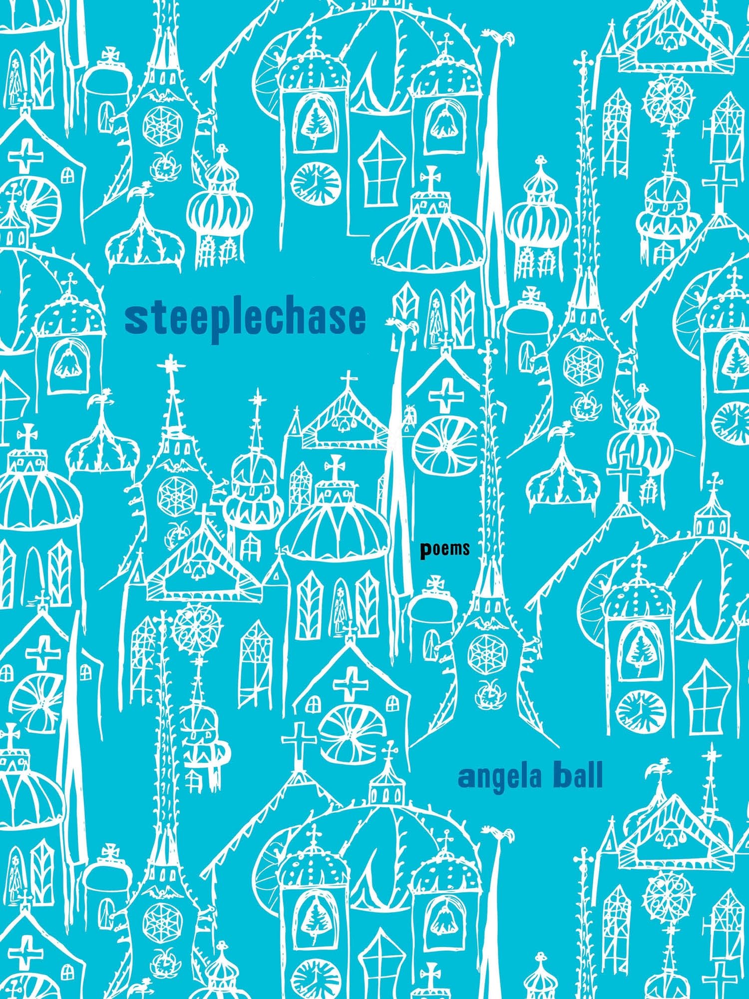 Steeplechase: Poems (Pitt Poetry)