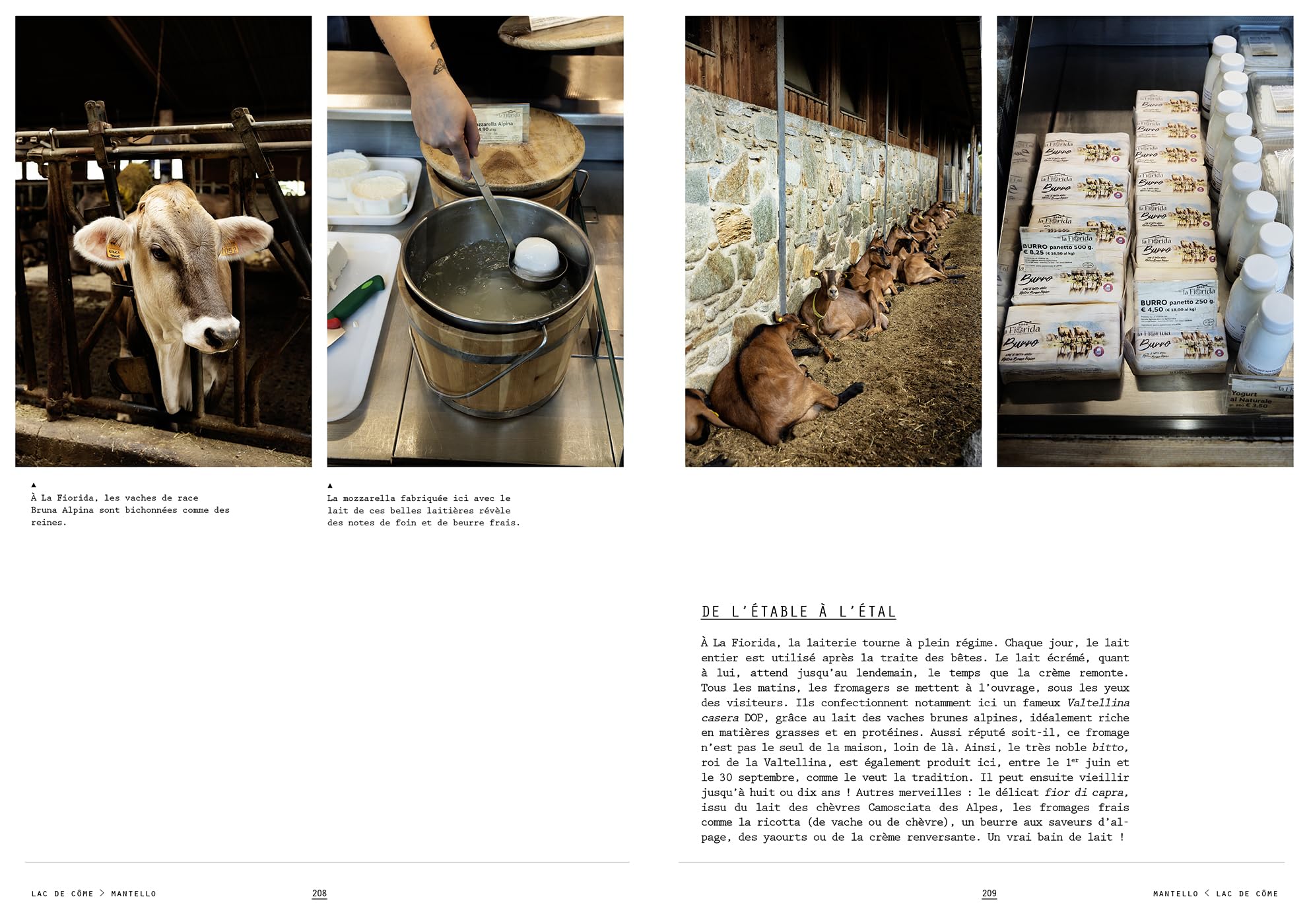 La cuisine des lacs italiens