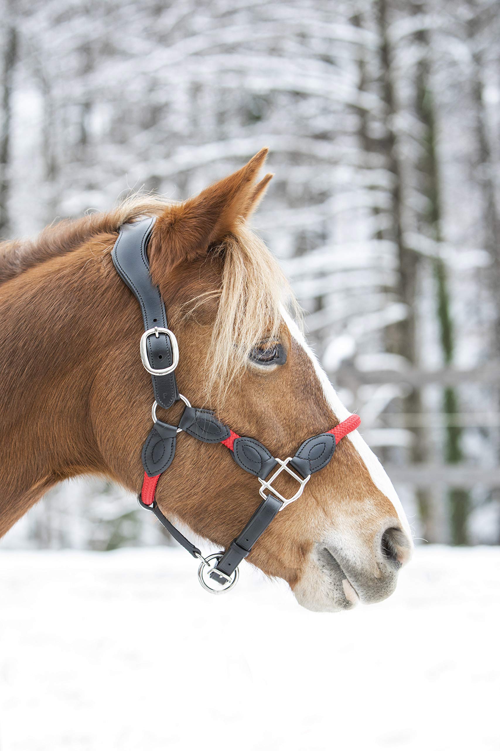 indira Seil-Leder-Halfter pro PP-Echtleder (Pony, Blau 01)