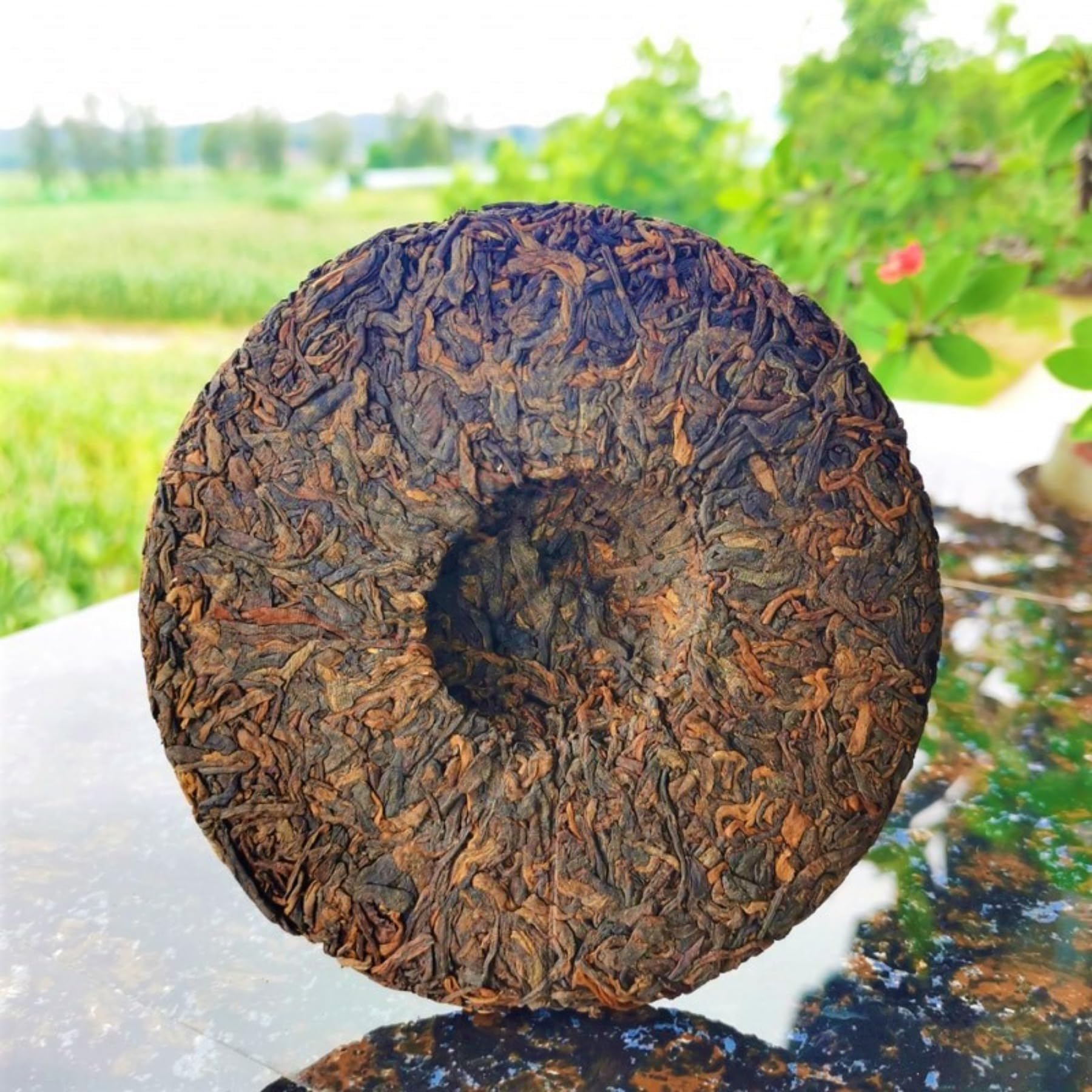 Yunnan Ancient Tree Reife Torte Old Banzhang Puerh Tee 357g / 12,59oz Köstlich Und Beruhigend