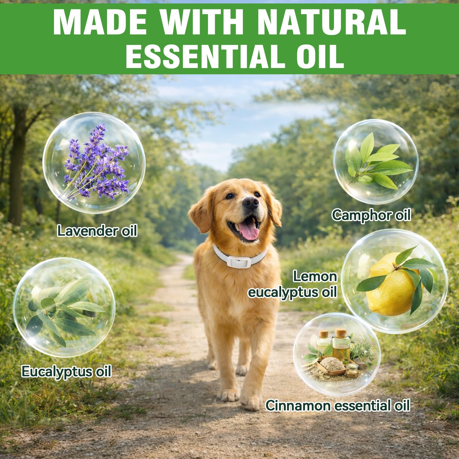 Collier Anti Puces pour Chien, Collier Anti Puce Chien Naturel, Ajustable et Doux pour la Peau, Protection Efficace Jusqu'à 12 Mois, Imperméable, Adapté aux Chiens Petits, Moyens et Grands, 65cm - 3