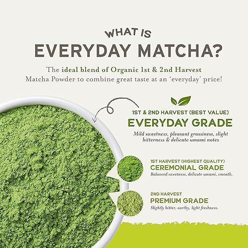 Miniatura 4 de Sencha Eveyrday Natural USDA Orgánico Té Verde Matcha en Polvo Rico Antioxidante Revitalizante Cuerpo Helathy Producto 100% Dieta Vegana - 12 oz