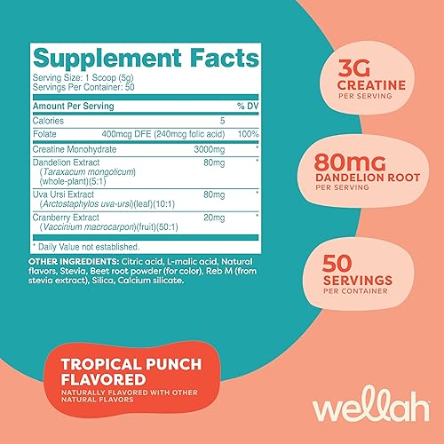 Miniatura 6 de Wellah Creatina para mujer - Monohidrato de creatina con diente de león y extracto de arándano (50 porciones, sandía granizado)