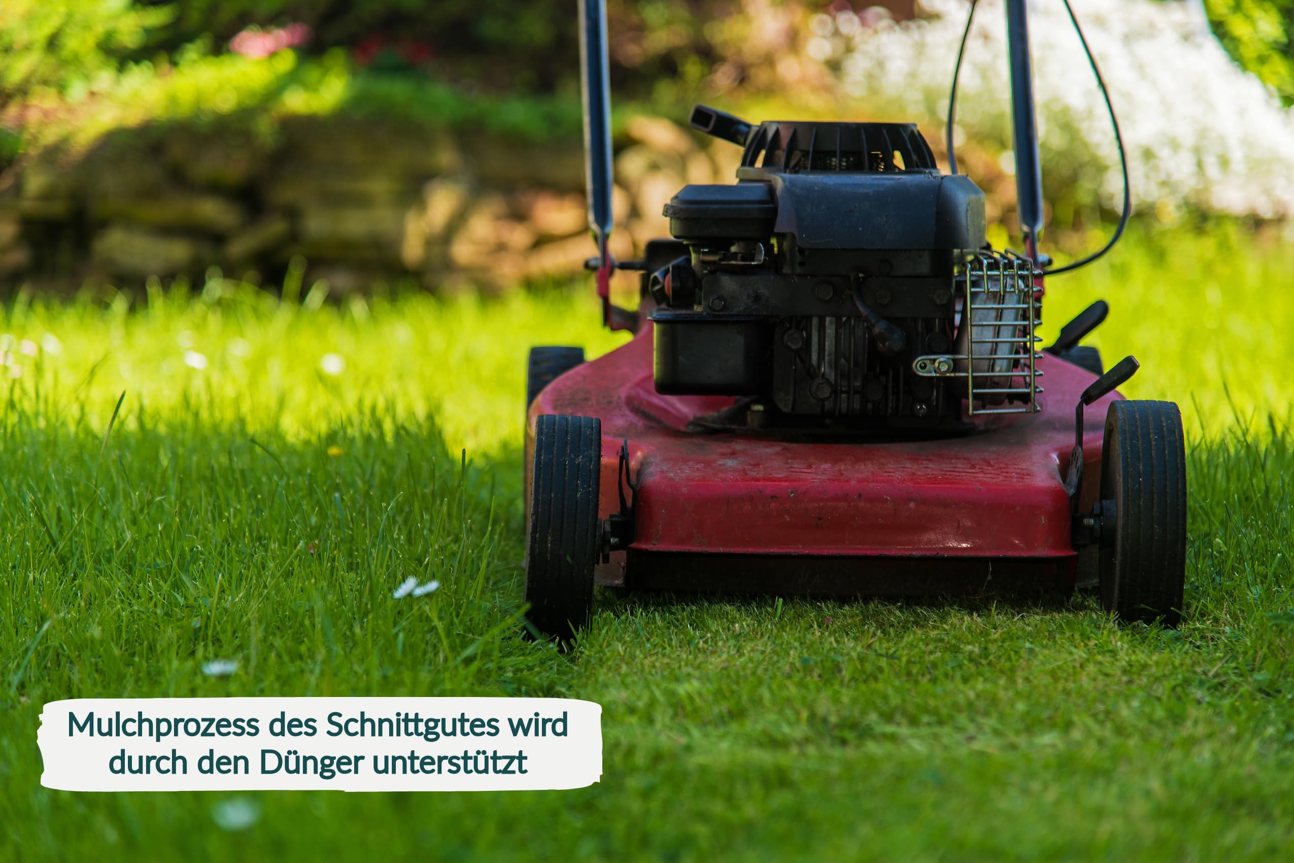 HaGaFe Rasendnger fr Mulchmher und Mhroboter Rasen Dnger (10 kg (1 x  10 kg)) : Amazon.de: Garten
