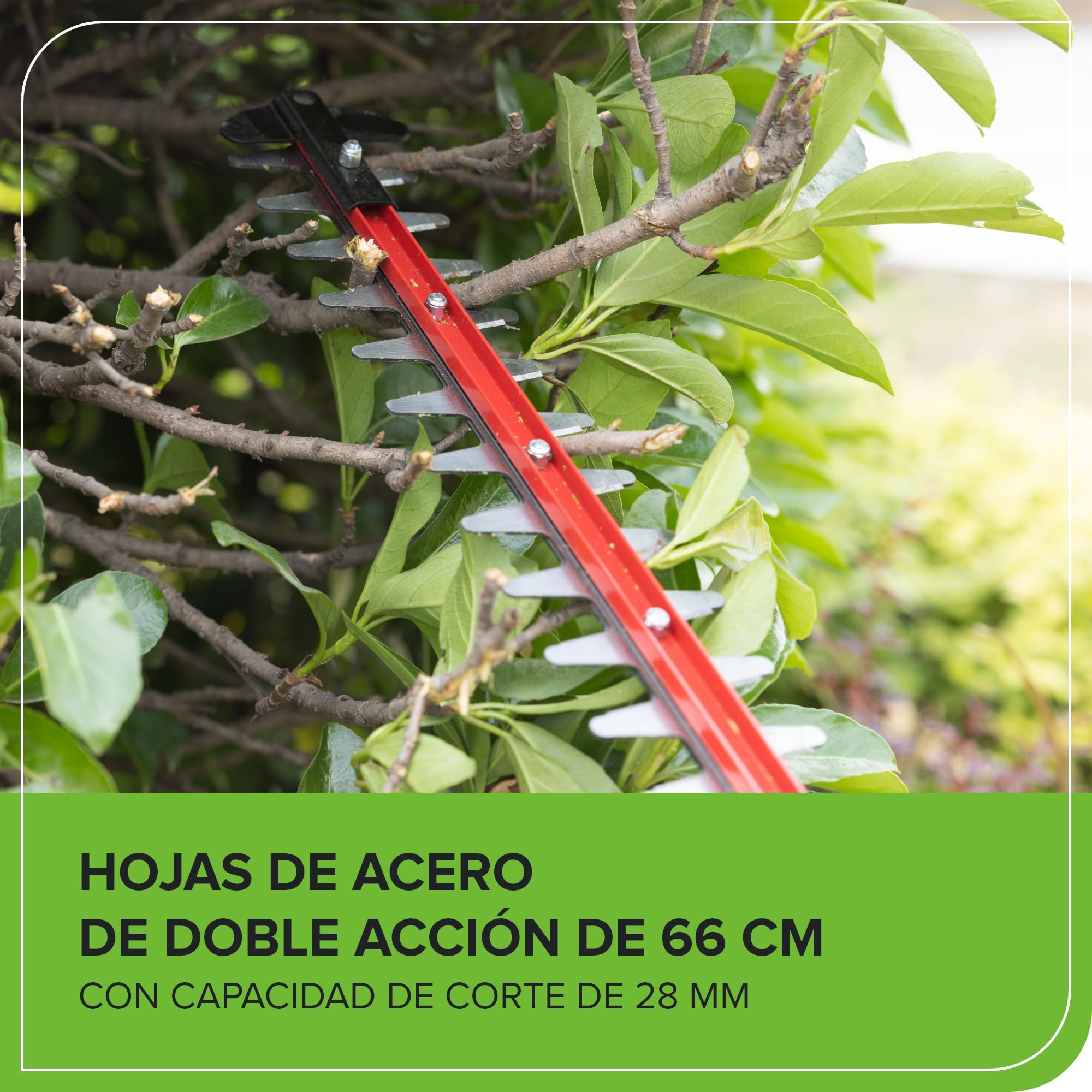 Greenworks Cortasetos a Batería de 66 cm con Cuchilla de Doble Acción, Motor sin Escobillas Que Corta hasta 28 mm de Grosor, 3400 SPM SIN batería de 40 V y Cargador GD40HT66