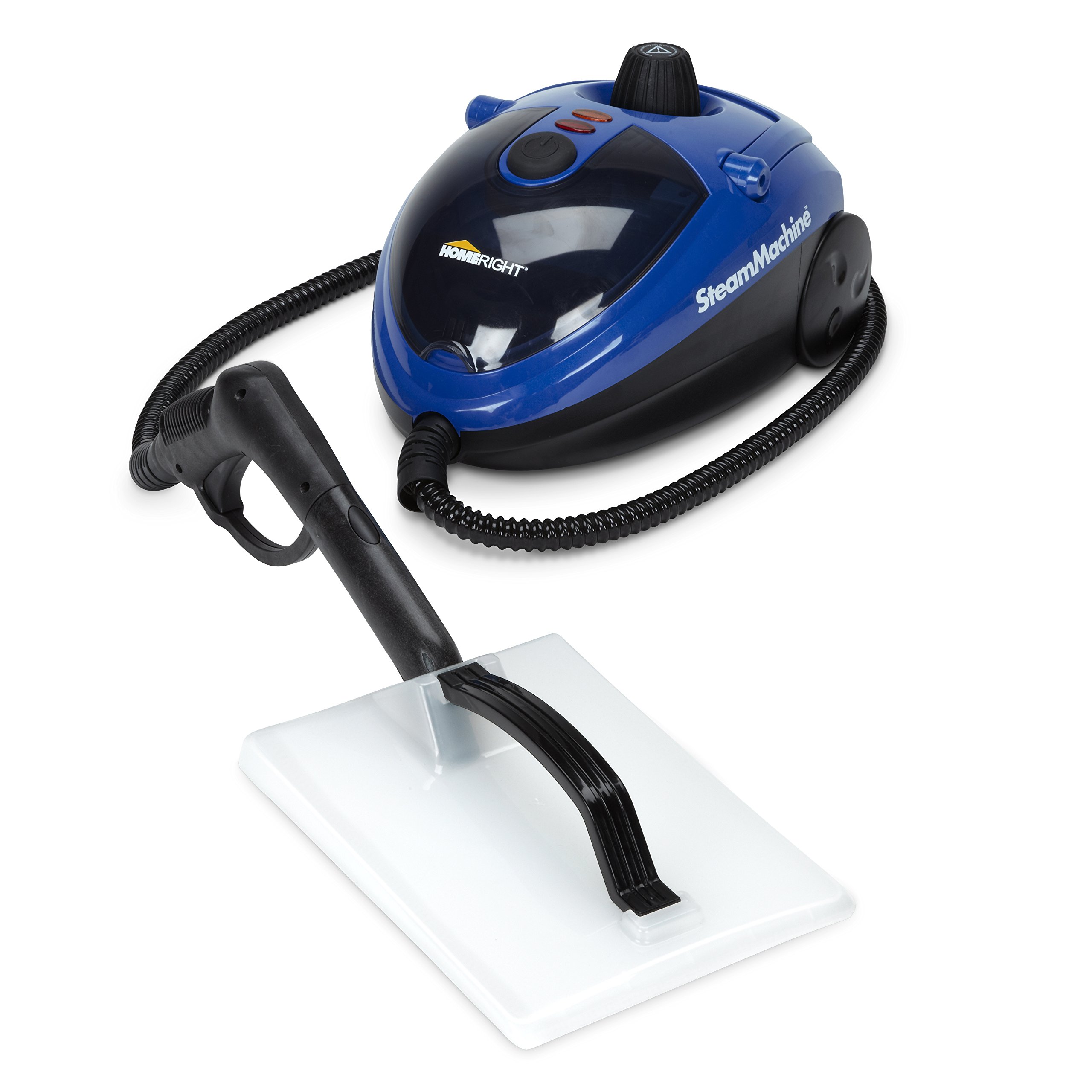 steamer for bed bugs lowe's