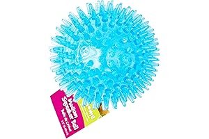 Gnawsome Medium Squeaky Treat Dispenser Dog Ball Toy