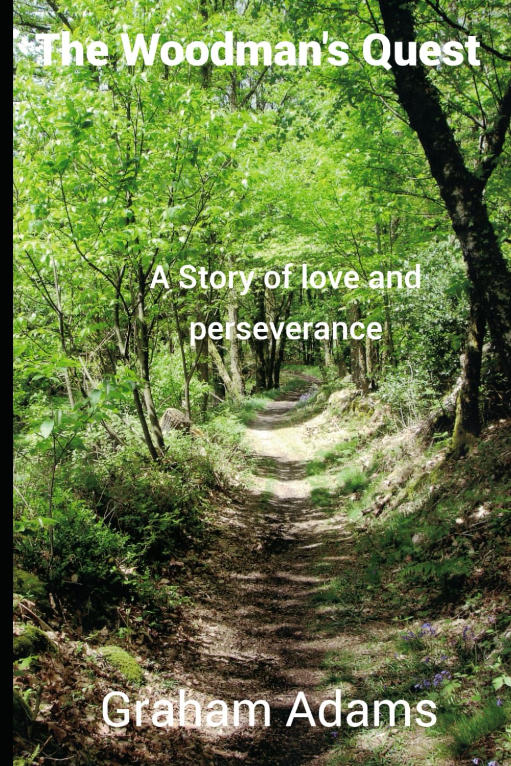 The Woodman's Quest: A Story of love and perseverance (The Mystic Series)