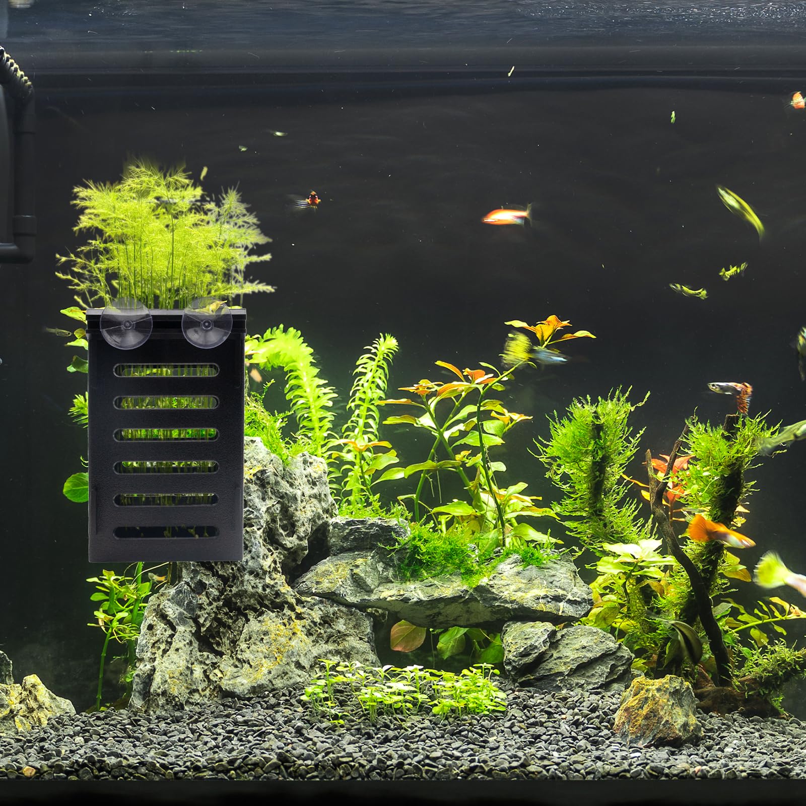 Aquarium Pflanzenhalter Set, 8 Kunststofftöpfe mit 48 Haken und 32 Saugnäpfen, für lebende Pflanzen und Aquariumdekorationen