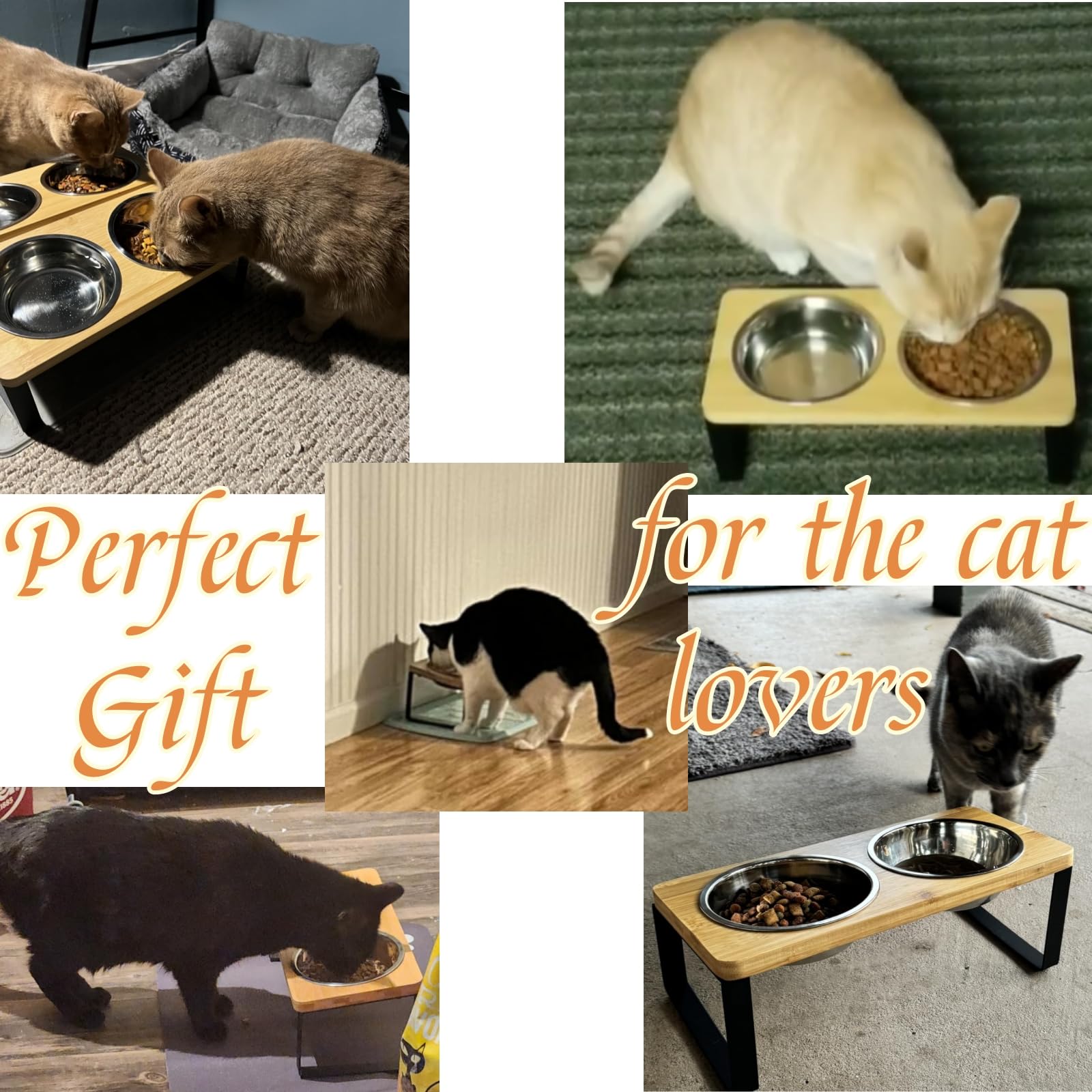 Cuencos elevados para gatos, soporte elevado para gatos con cuencos de acero inoxidable de 16 onzas, comedero antideslizante para gatos y cachorros, cuencos elevados inclinados de 15° para mascotas,
