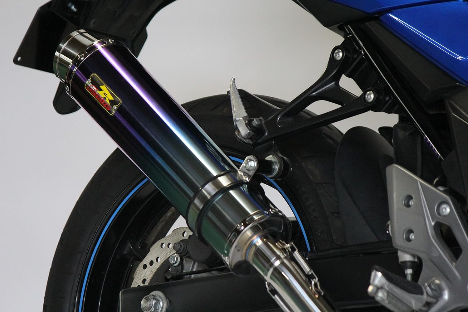 Realize スズキ GSX250R 2BK-DN11A 8BK-DN12B 2017年～2021年モデル 