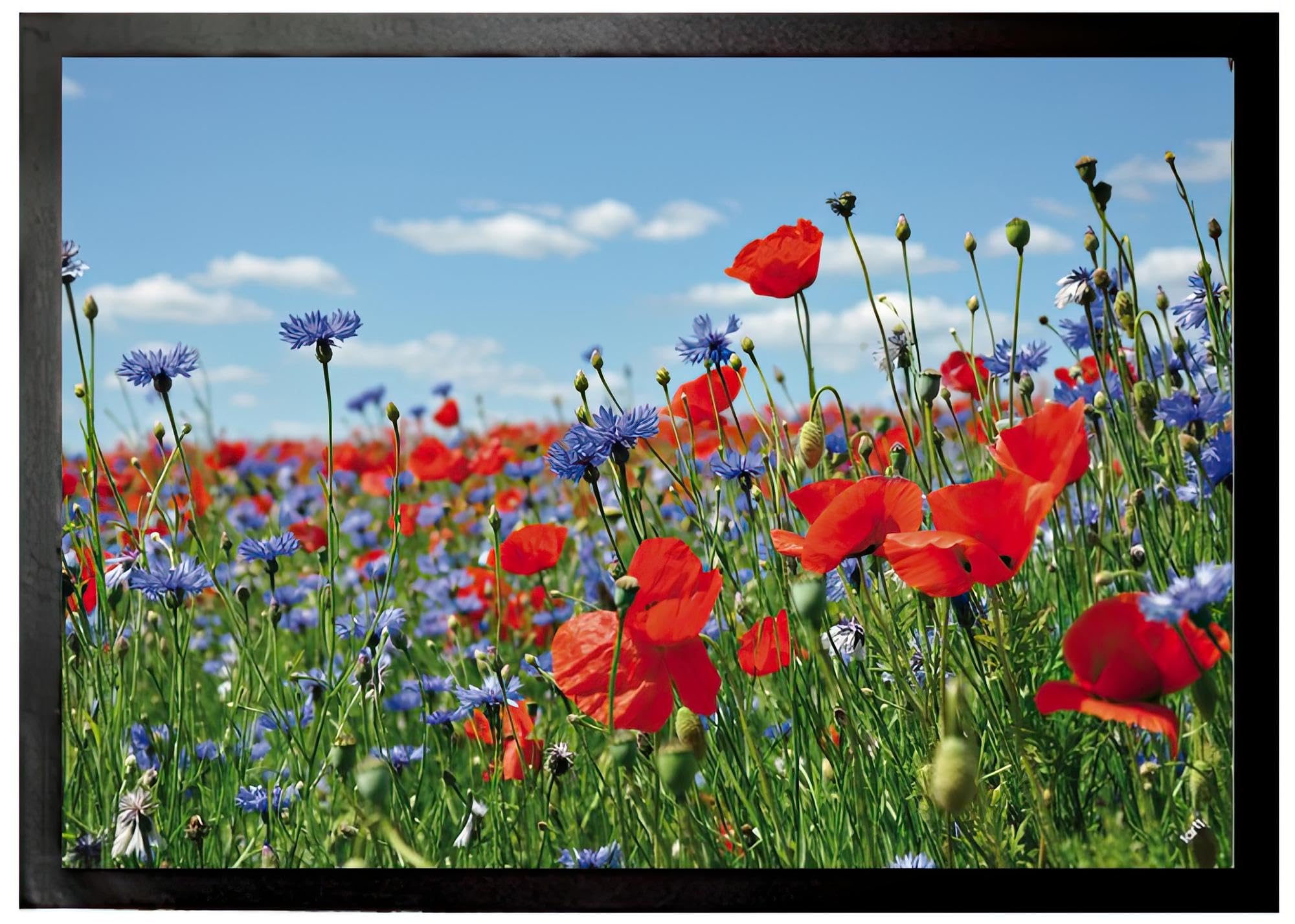 Ornamenti Floreali Dalle Farfalle, Dai Fiori, Dalle Foglie E Dalle Bacche Image79168996