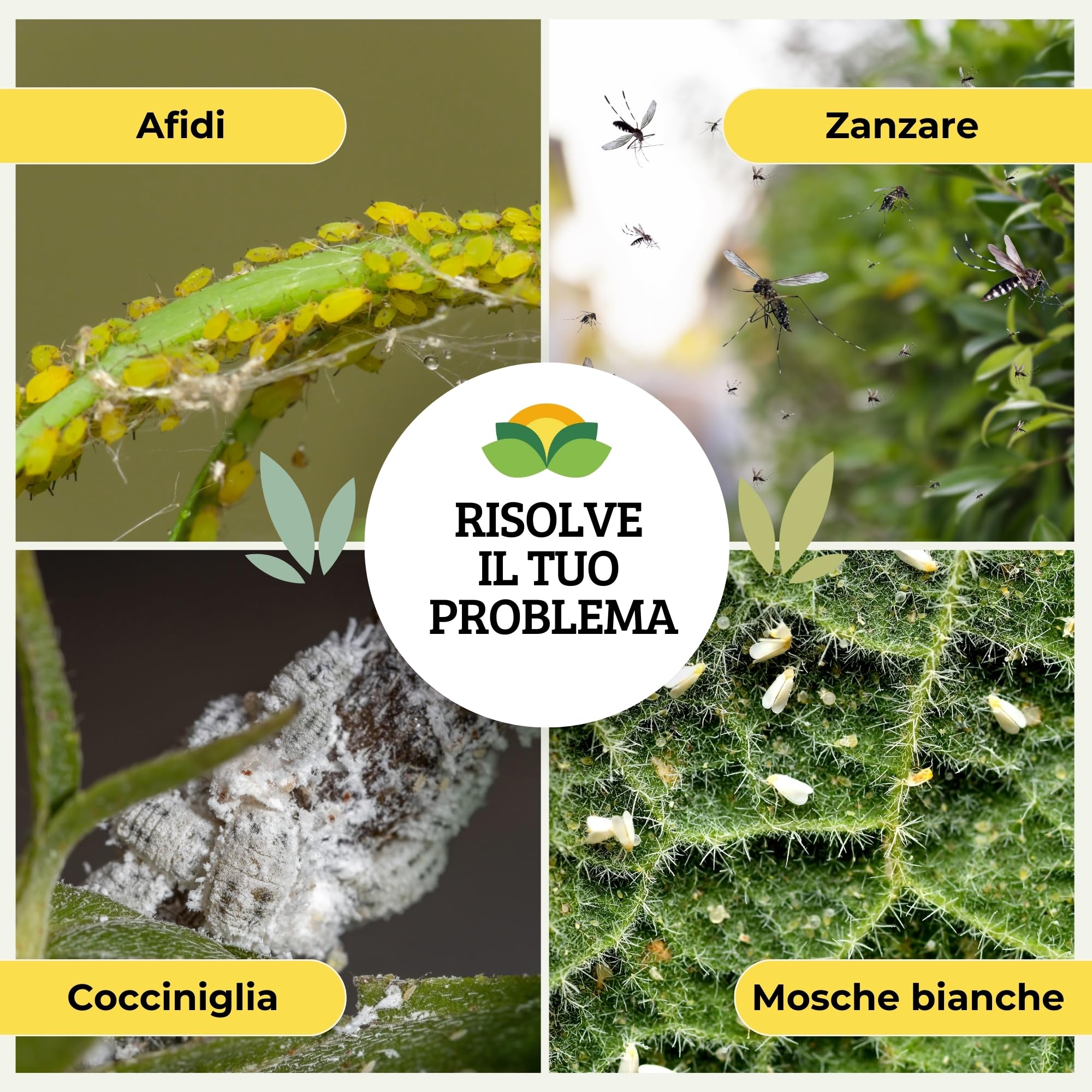 Albagarden - Olio Di Neem Per Piante - MAXI x 1 Litro - Naturale Concentrato, Contro Insetti Funghi Cocciniglia, Acari Afidi Pulci, Cimici, Pidocchi - Spray Pronto Uso - 5