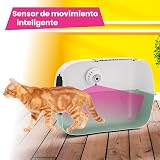 Ver la foto 7