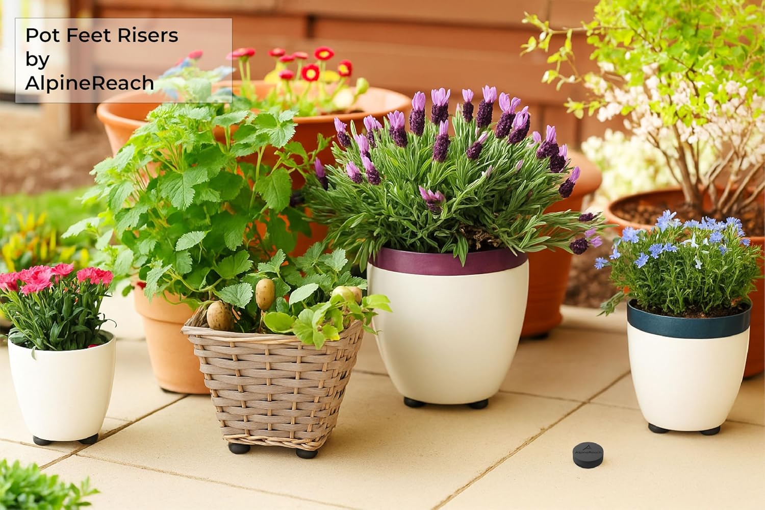 AlpineReach Extra Heavy Duty Pot Feet Risers 20 Pack & Adhesive Pads - Protect Healthy Plants - Strong Invisible Round Supports Small Large Flower Planters Stability - Outdoor Lifter Toes Elevator