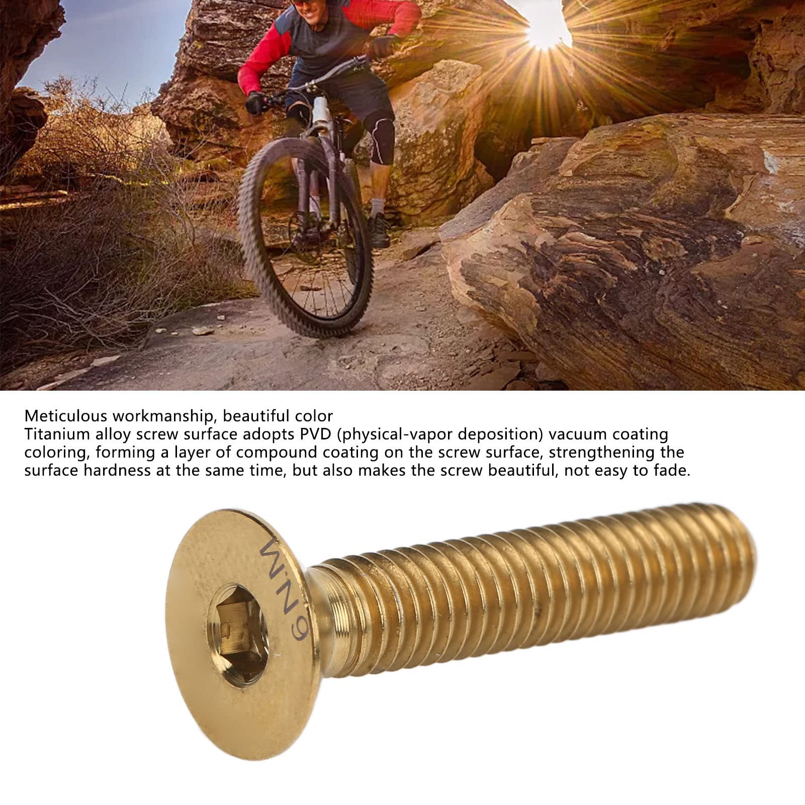View 5