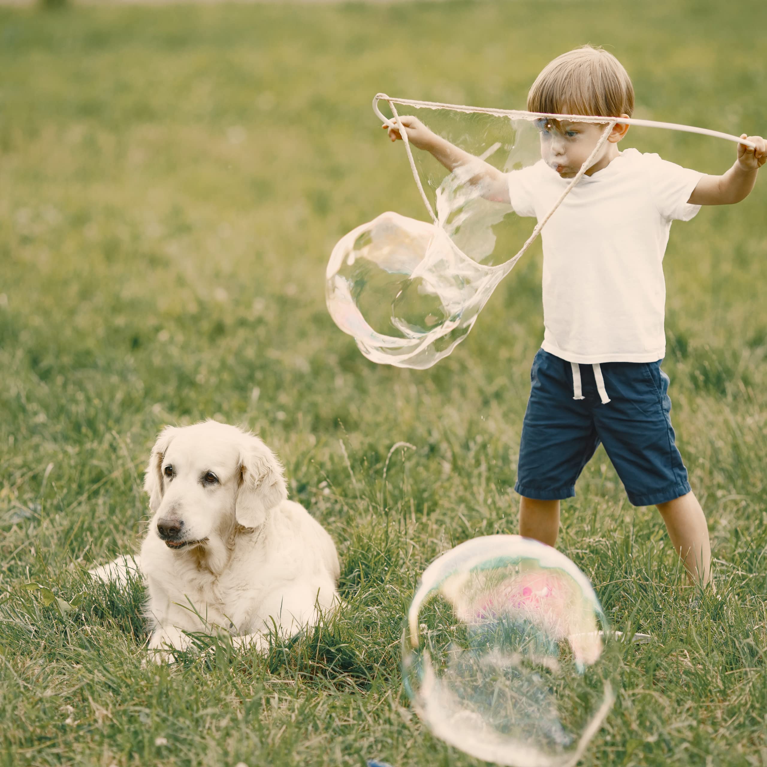 Bubble Brothers Riesenseifenblasen Set 3 Stäbe 5L Seifenblasenflüssigkeit 50cm für Kinder