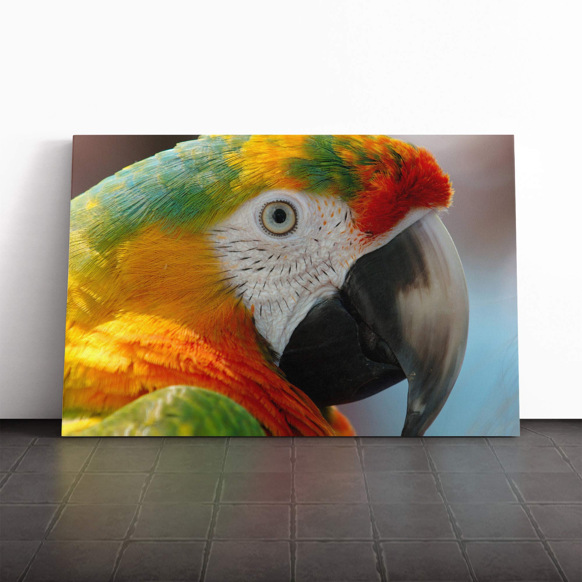 Macaw Parrot Bird Canvas Print | Gallery Wrapped 30mm Frame Wall Art | 30x20 inches | Ready to Hang | Modern Animals Picture | Living Room Bedroom Lounge Office