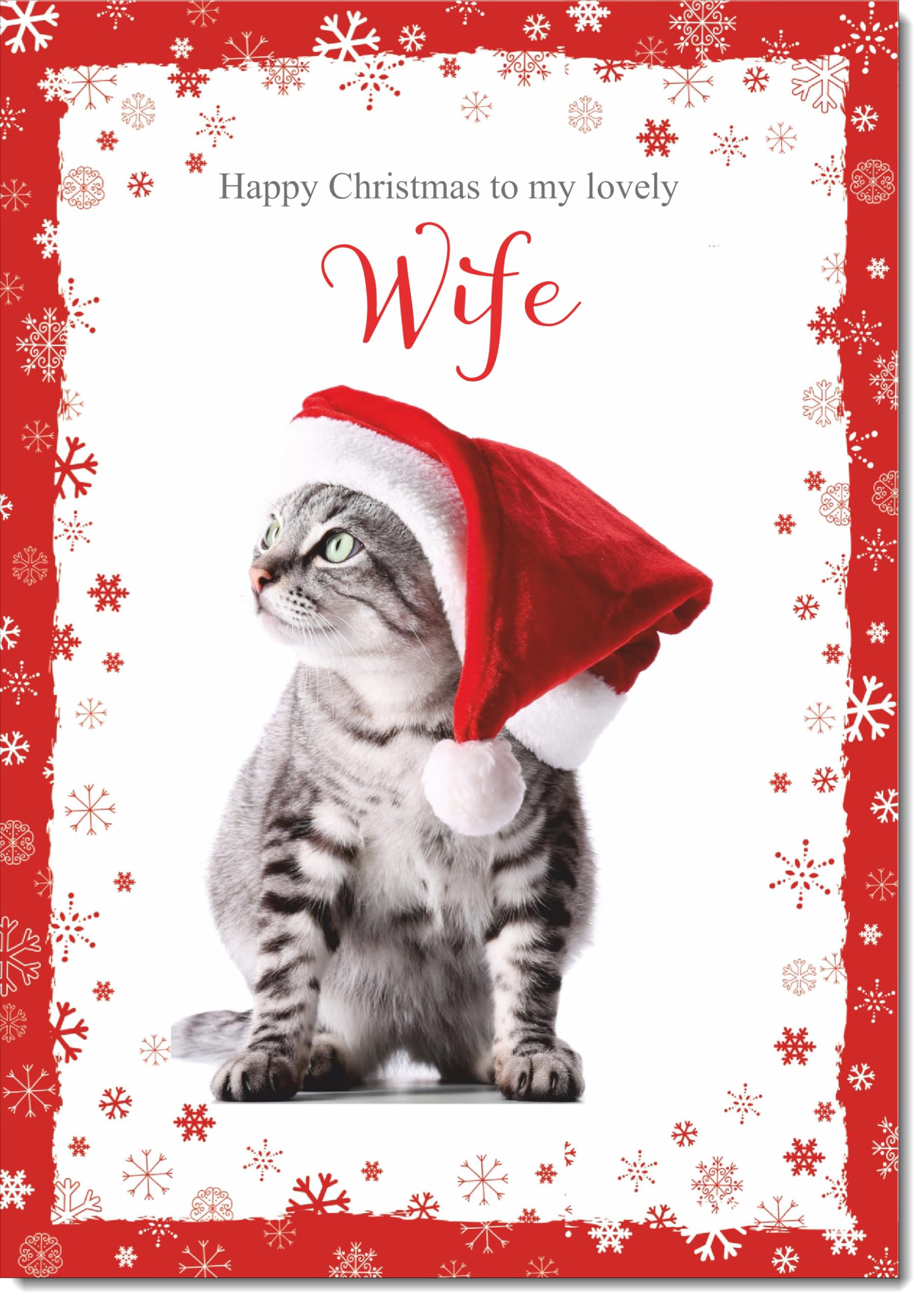 doodlecards Wife Christmas Card Kitten in a Santa Hat Large A4 Size Christmas Card for Wife with Plain Envelope