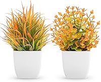 Vista 10 de Der Rose Paquete de 2 pequeñas plantas artificiales en maceta para mesa, escritorio, hogar, baño, oficina, decoración