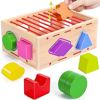 Montessori Spielzeug Ab 1 Jahr - Holz Steckspiel Mit 12 Bunten Münzen Und Box