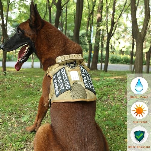 Miniatura 4 de PawistaPal Paquete de 6 parches para perros de servicio, parche de entrenamiento para perros y no mascotas con gancho trasero, parche impreso UV de