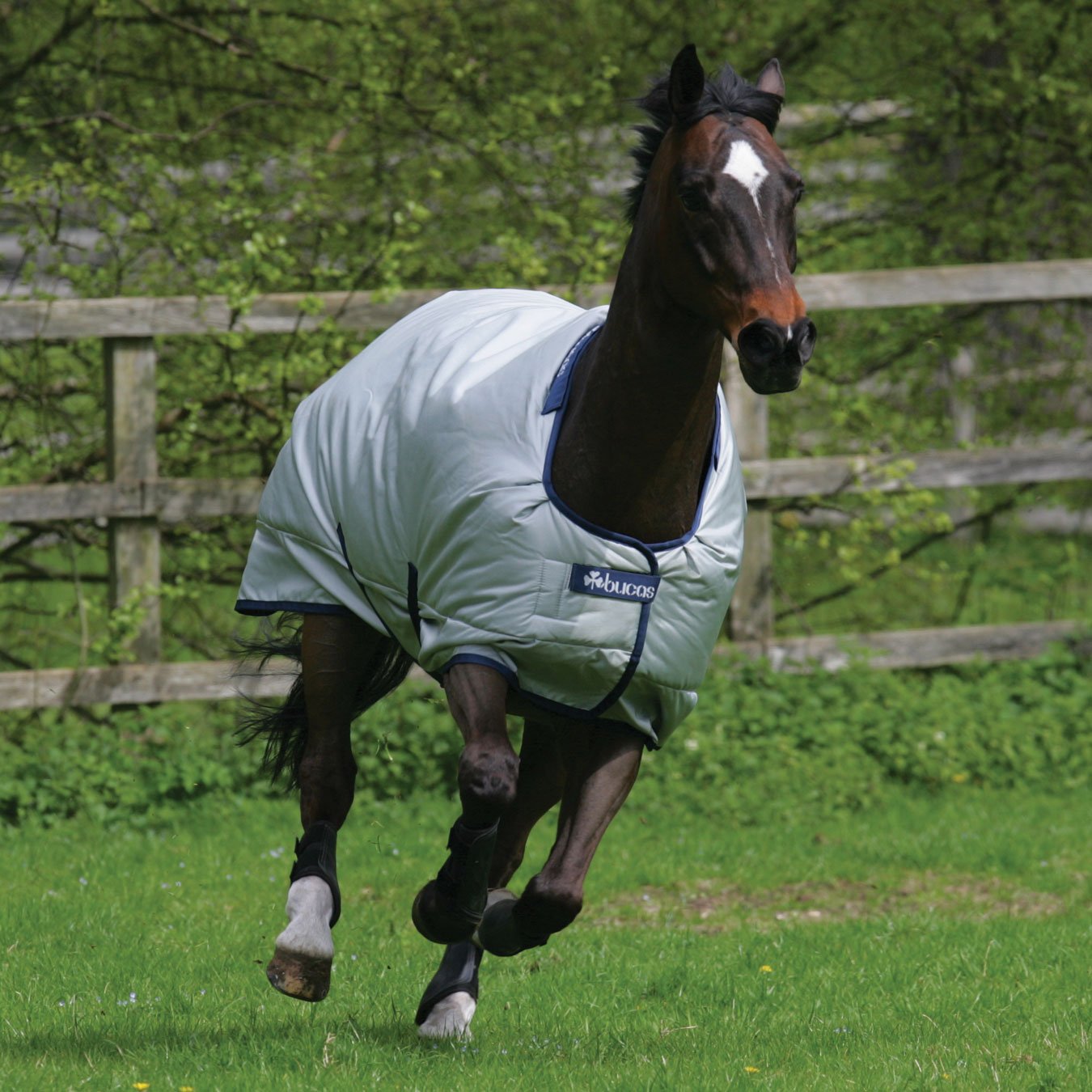 BUCAS 145 - Coperta per cavalli Power Turnout Classic, colore argento