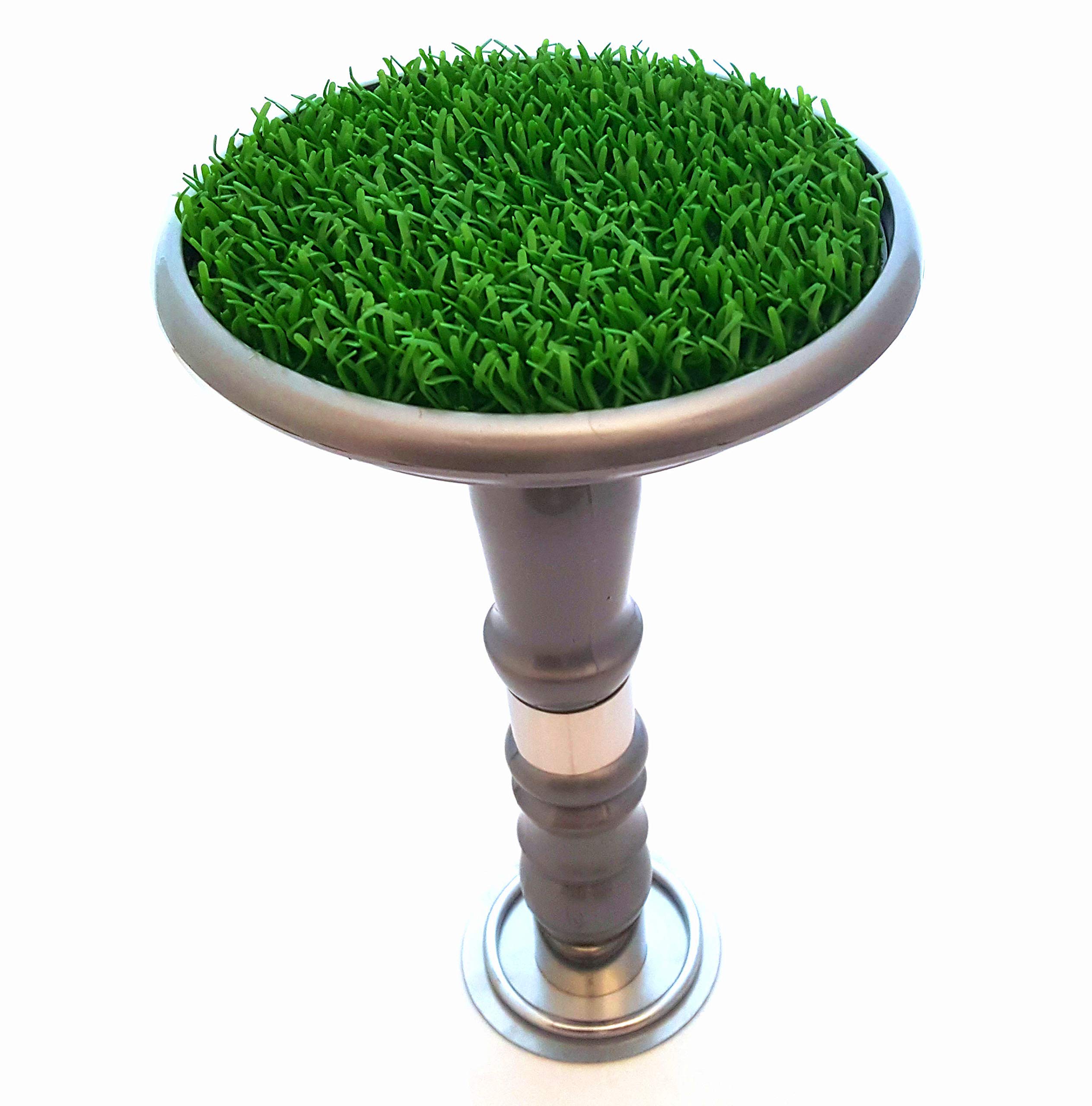 Perche à fauconnerie pour jardin avec anneau en acier inoxydable