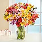 24 Multicolored Alstroemeria Bouquet Flowers, Long Lasting & Hand-Tied, Farm Fresh Cut Flowers Bouquet - Gift for Birthday, Anniversary, Wedding | No Vase.