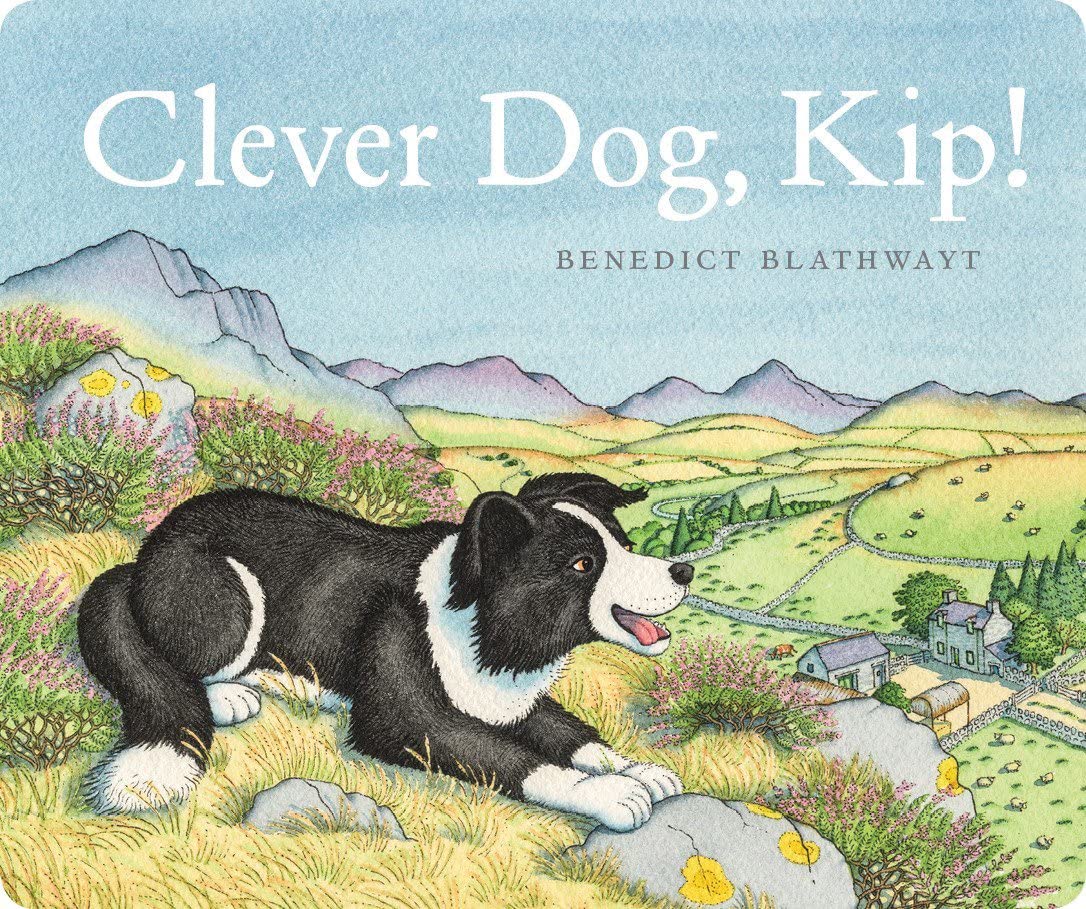 Clever Dog, Kip! by Benedict Blathwayt BOARD BOOK 9781780276151