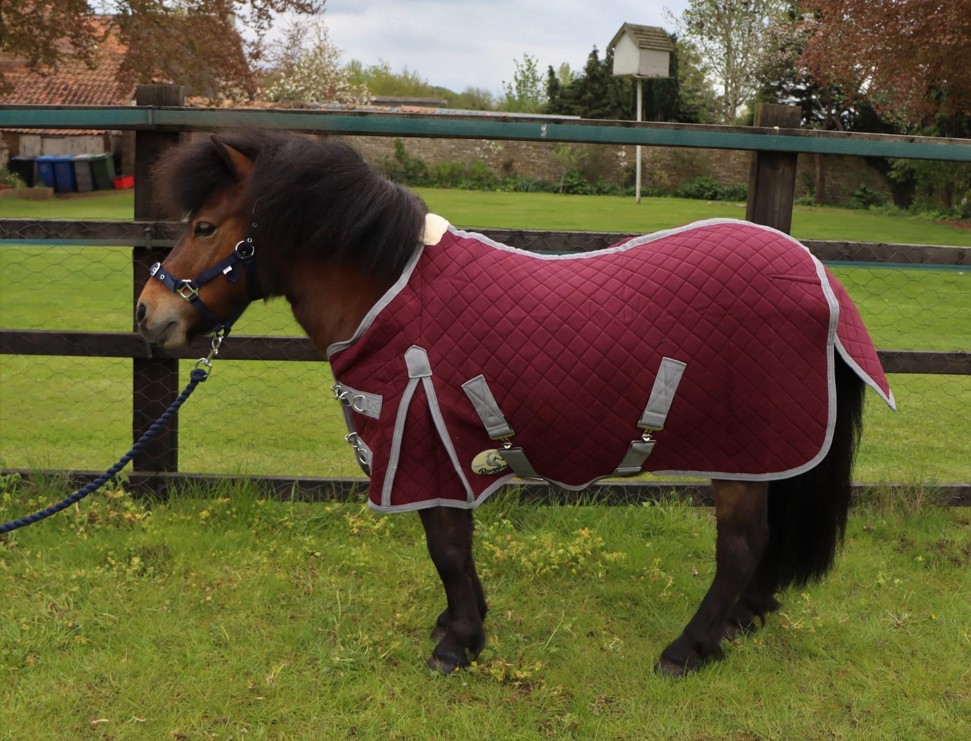 Ruggles Triple Layer Wicking Rug for Shetland Pony Miniature Horse & Donkey | Ideal for Travel Shows Stable and Cooling/Drying after Exercise or Bathing (2' 9", Port Royal)