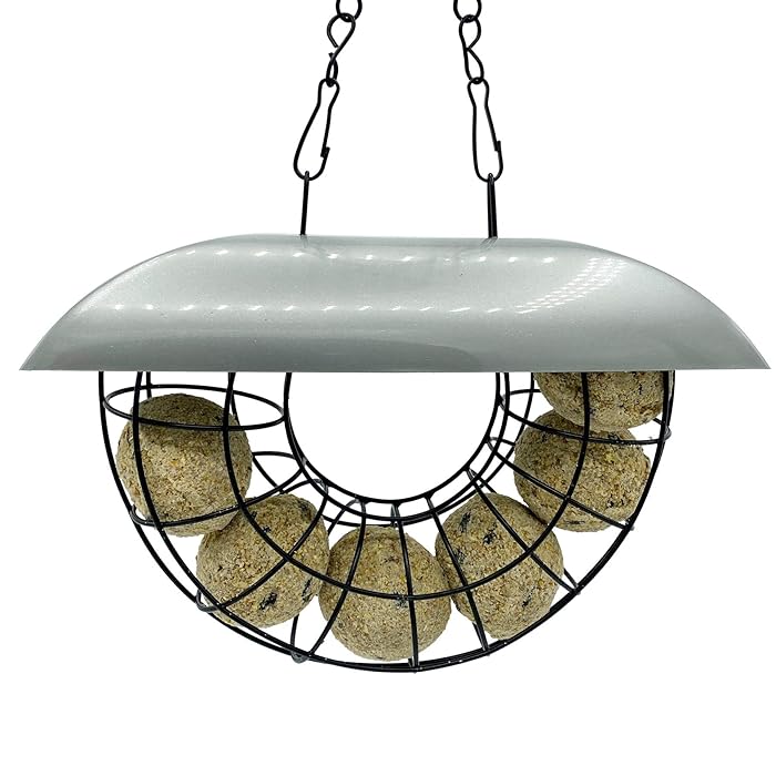Buy Half Moon Bird Feeder with 6 Pre-Filled Suet Balls Included