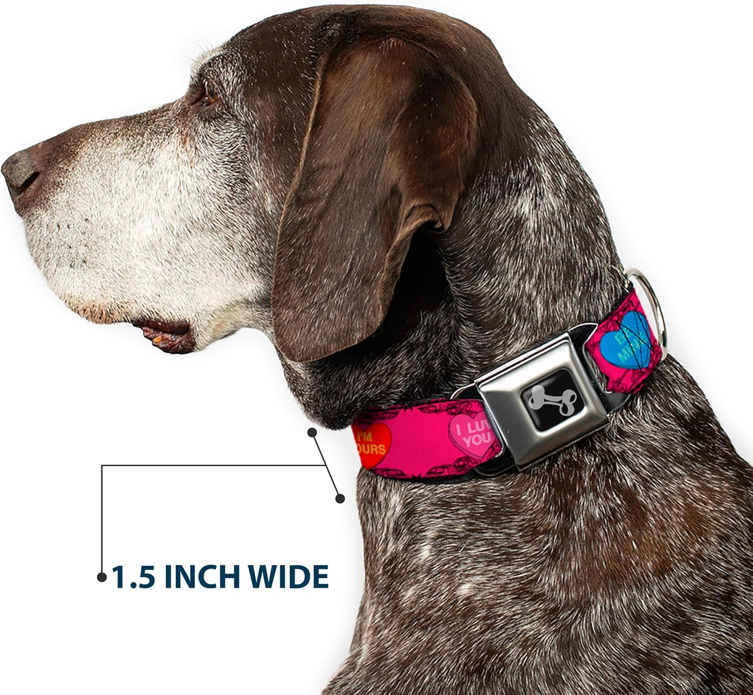Buckle-Down Dog Collar Seatbelt Buckle Candy Hearts, Multicolor, 1" Wide - Fits 9-15" Neck - Small (DC-W30323-S)